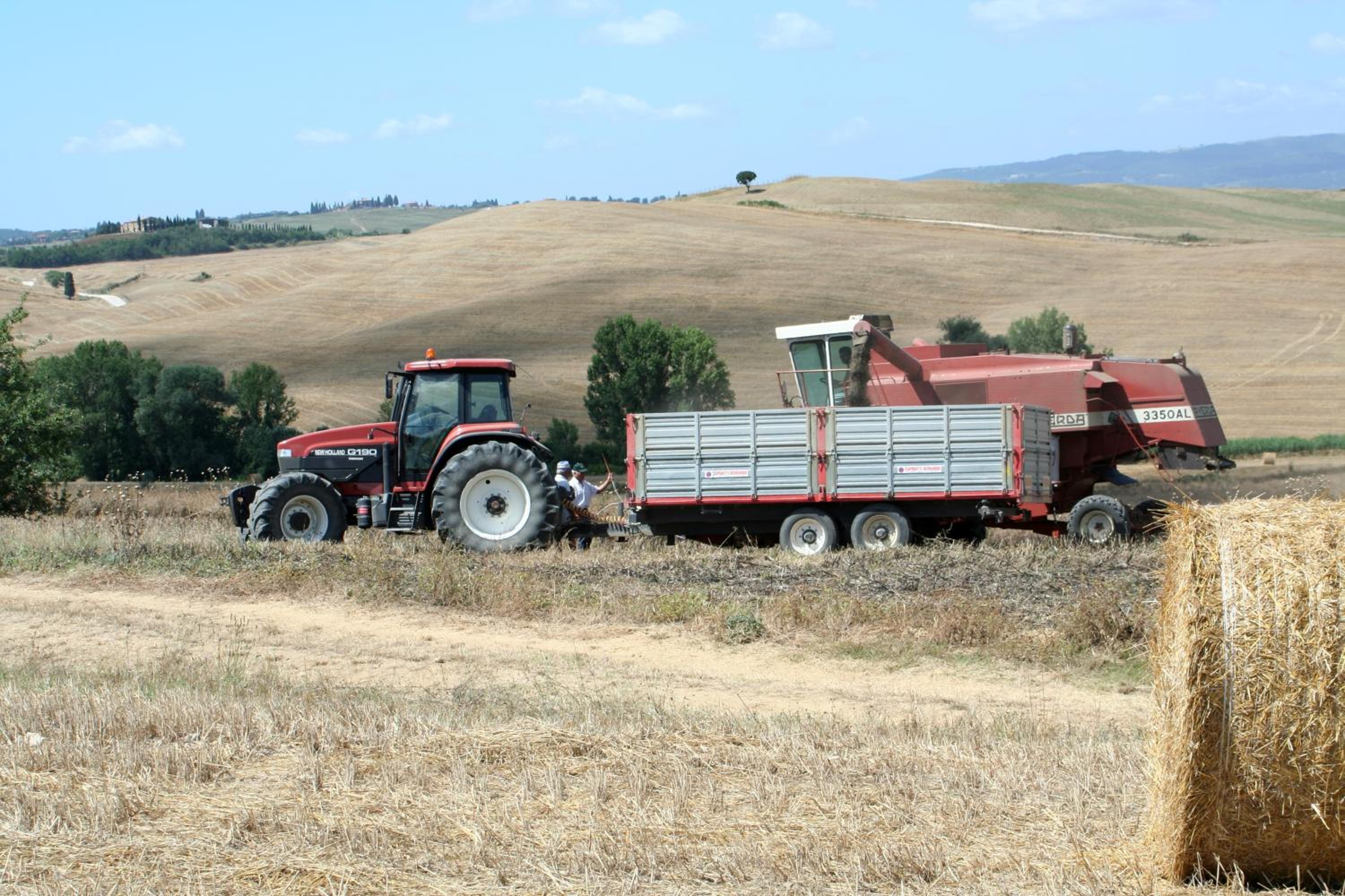 Agriturismo La Fonte