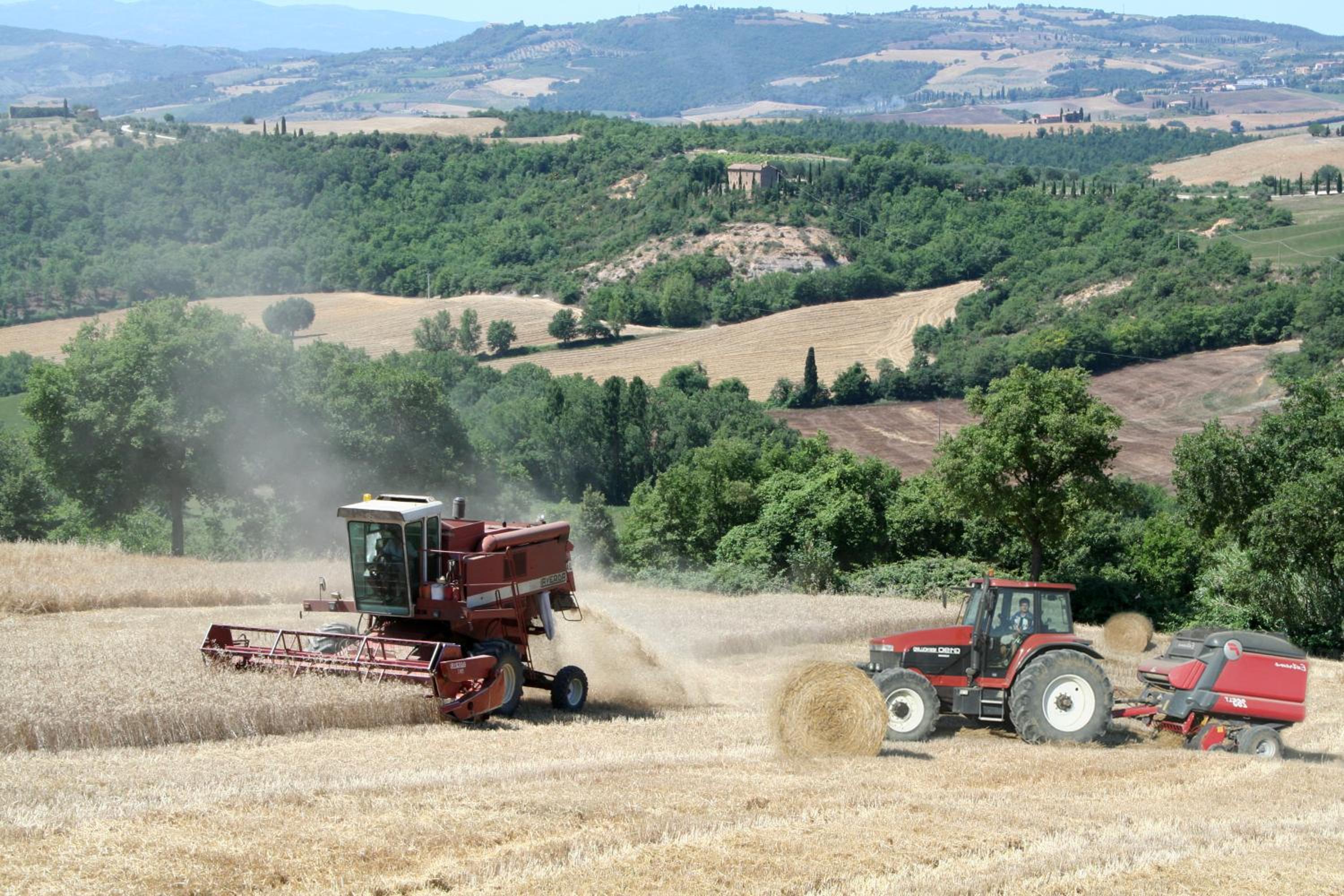 Agriturismo La Fonte