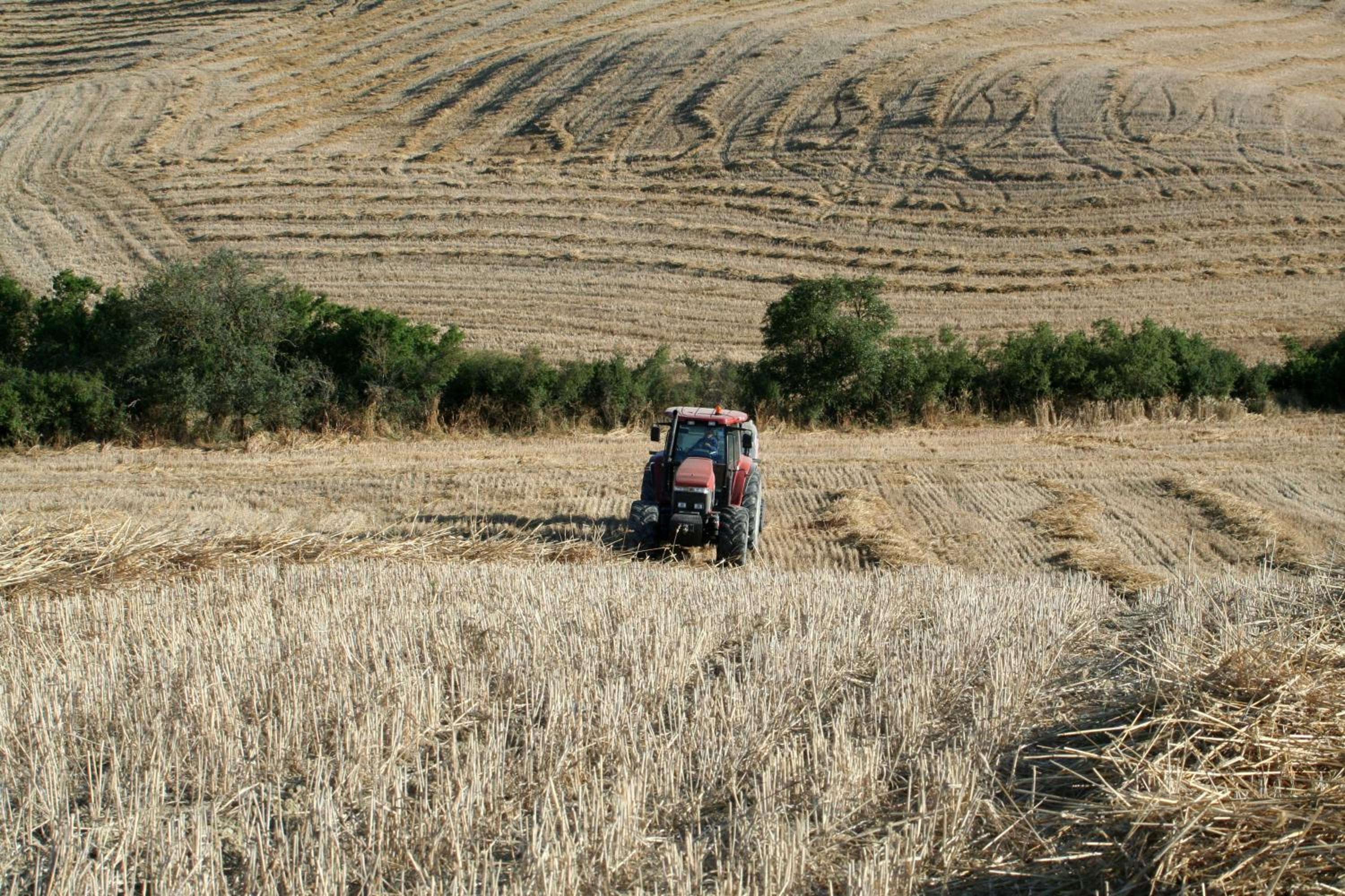 Agriturismo La Fonte
