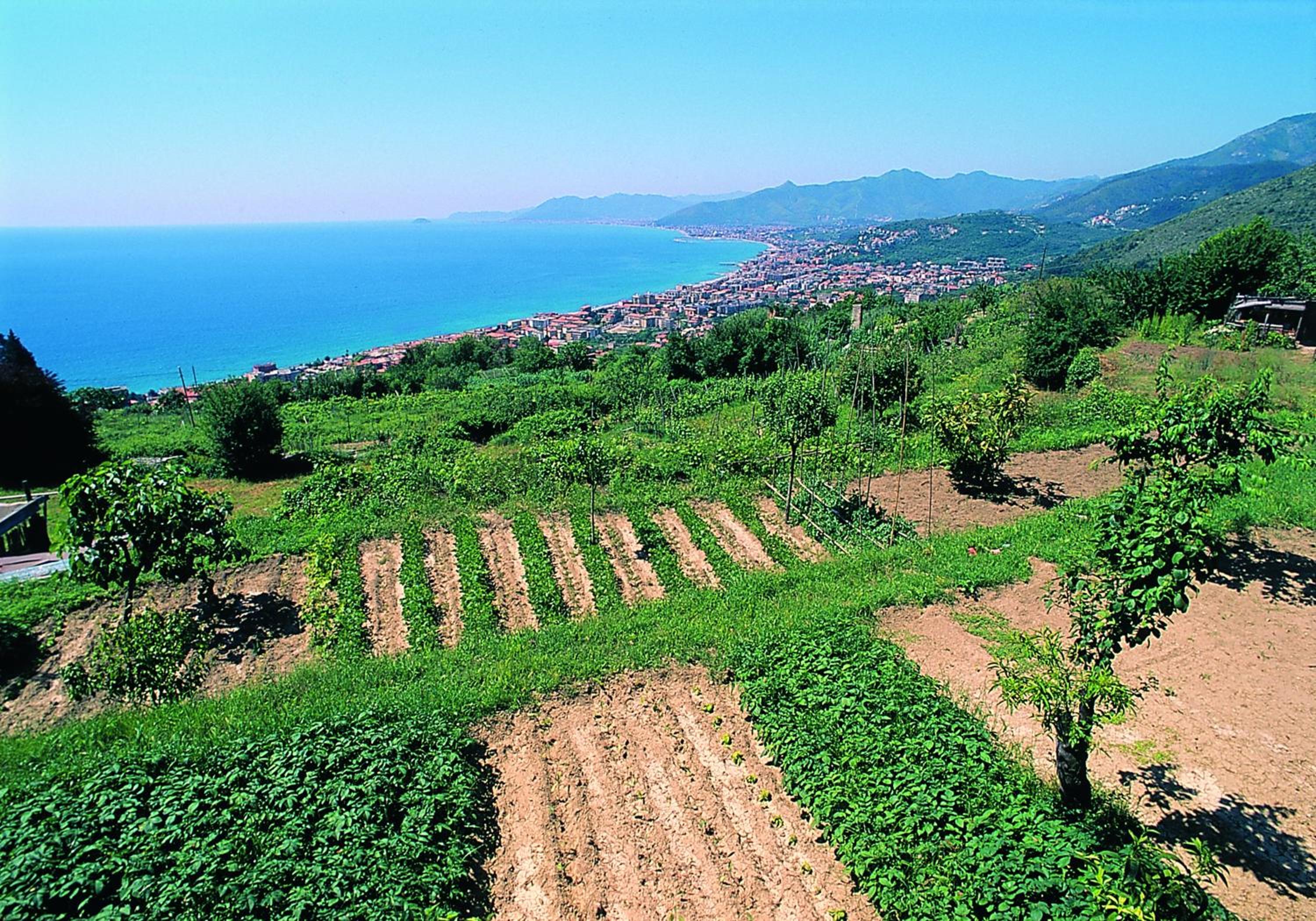 Ligure Residence