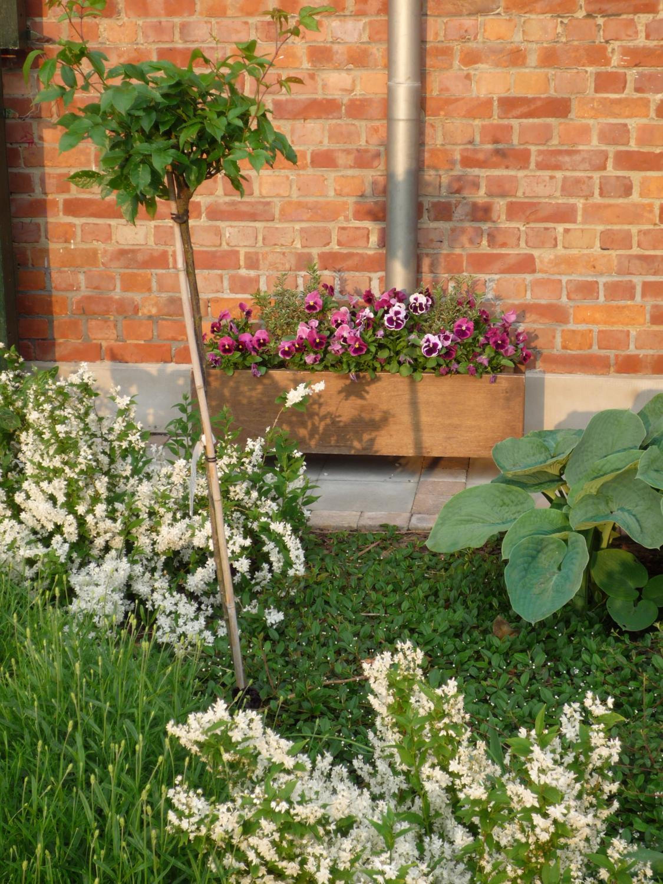 B&B Euverbraeke