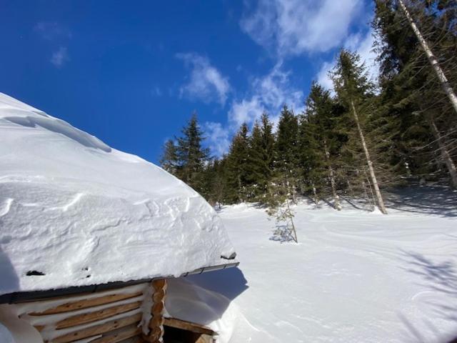 Alpenchalet Grabner Alm am Präbichl