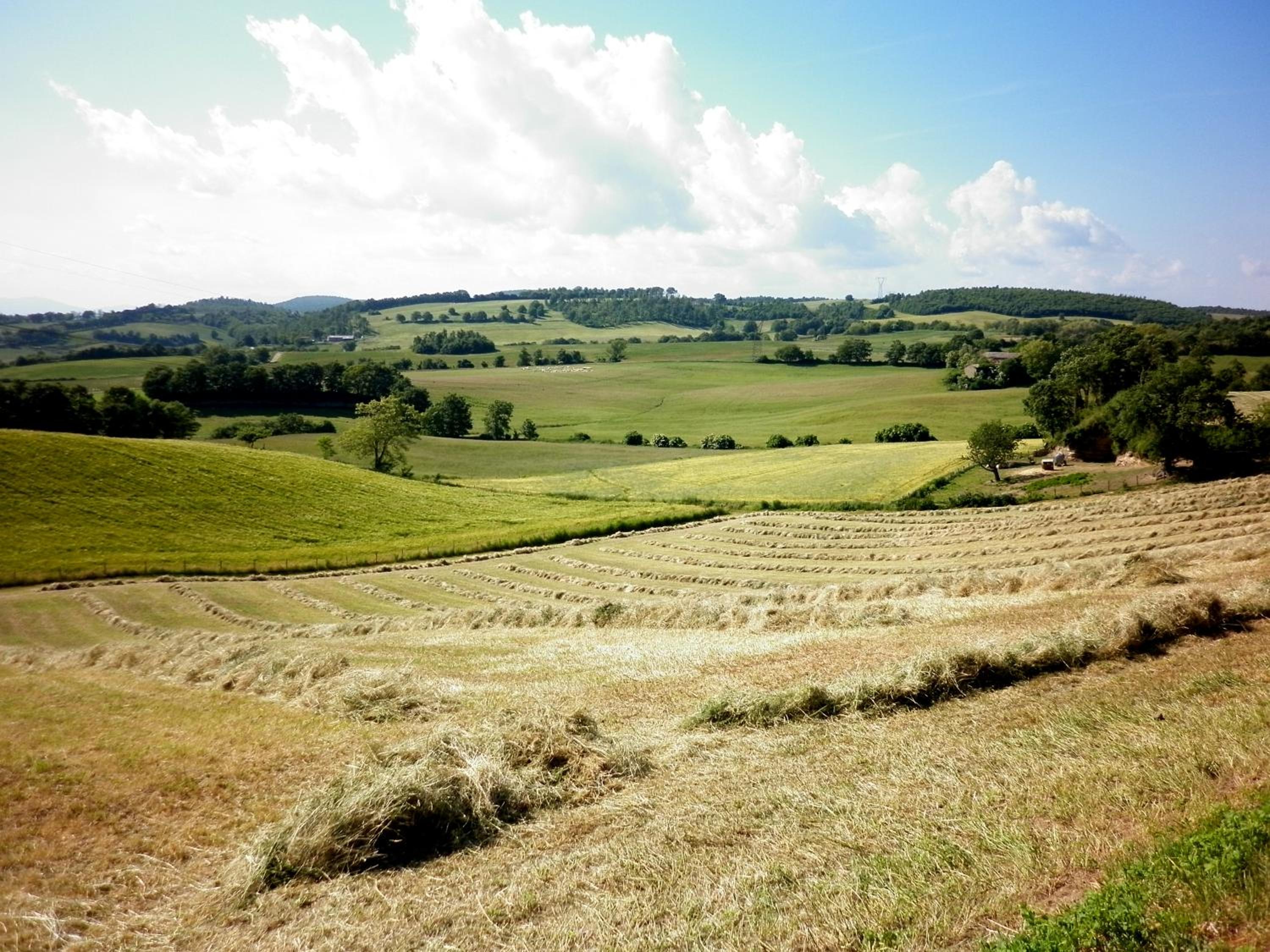 B&B Podere Ospedaletto photo 4