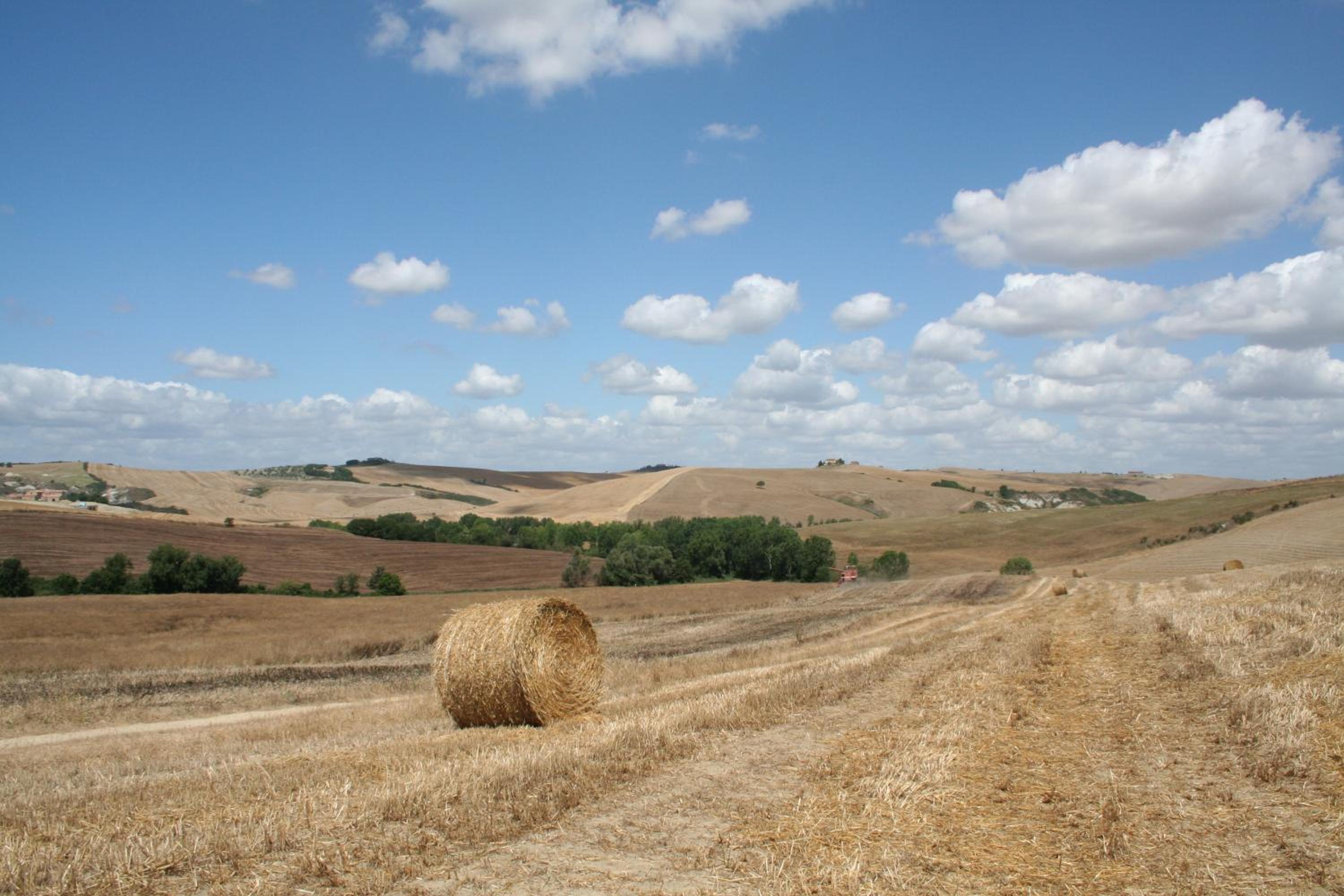 Agriturismo La Fonte