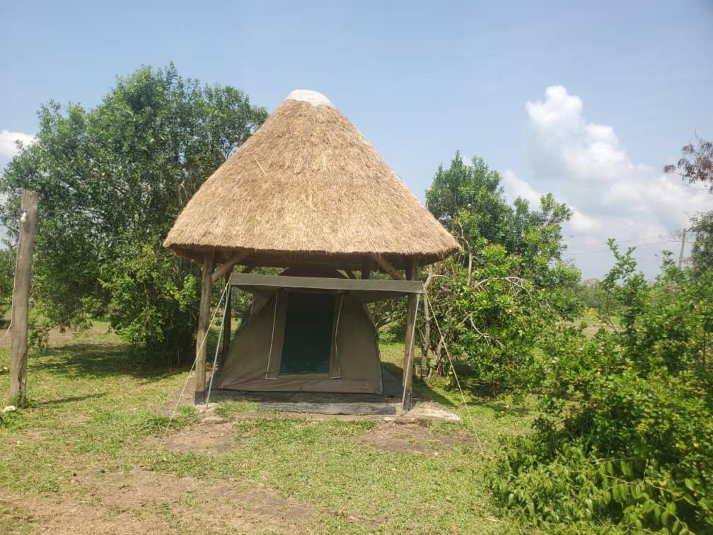 Engiri Game Lodge and Campsite