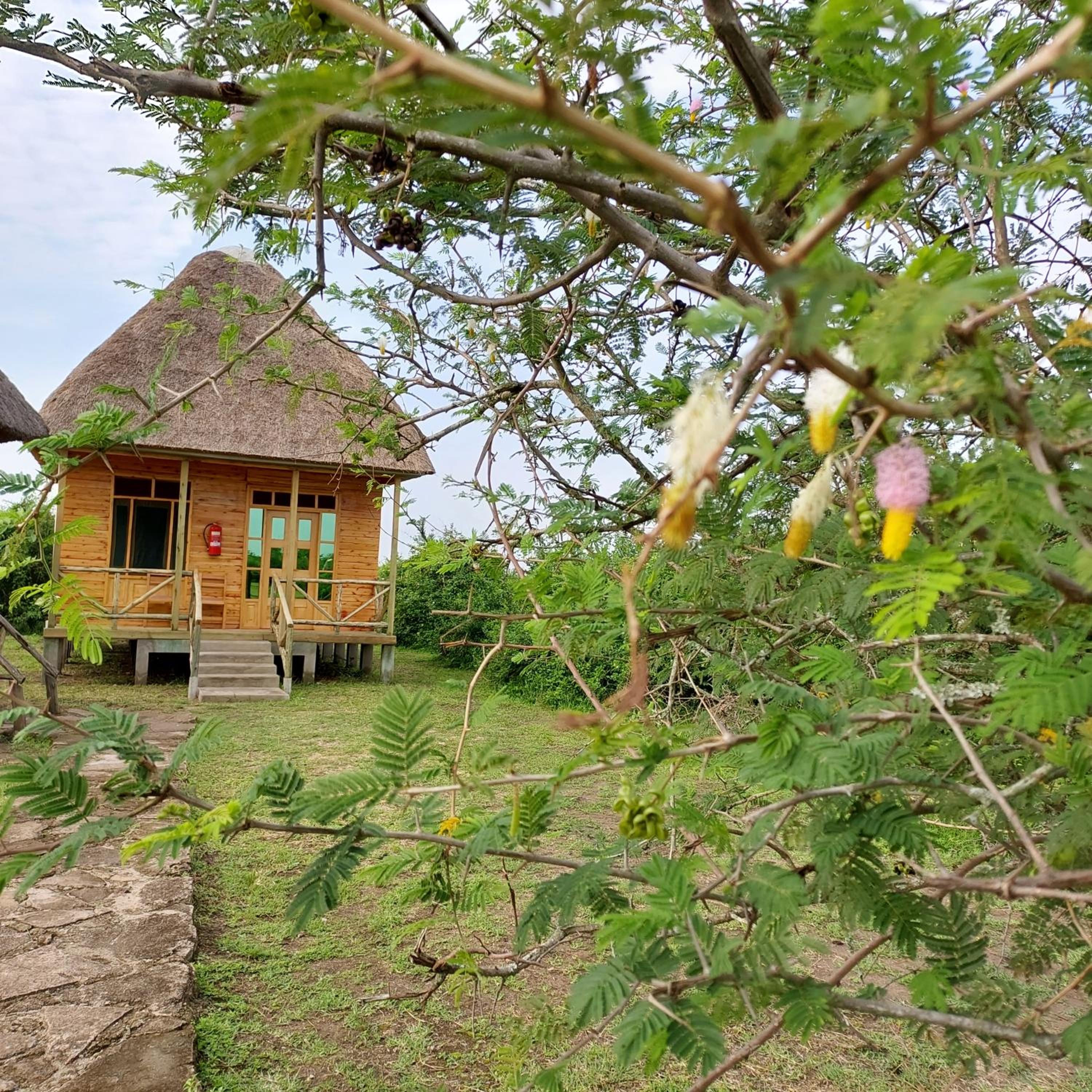 Engiri Game Lodge and Campsite