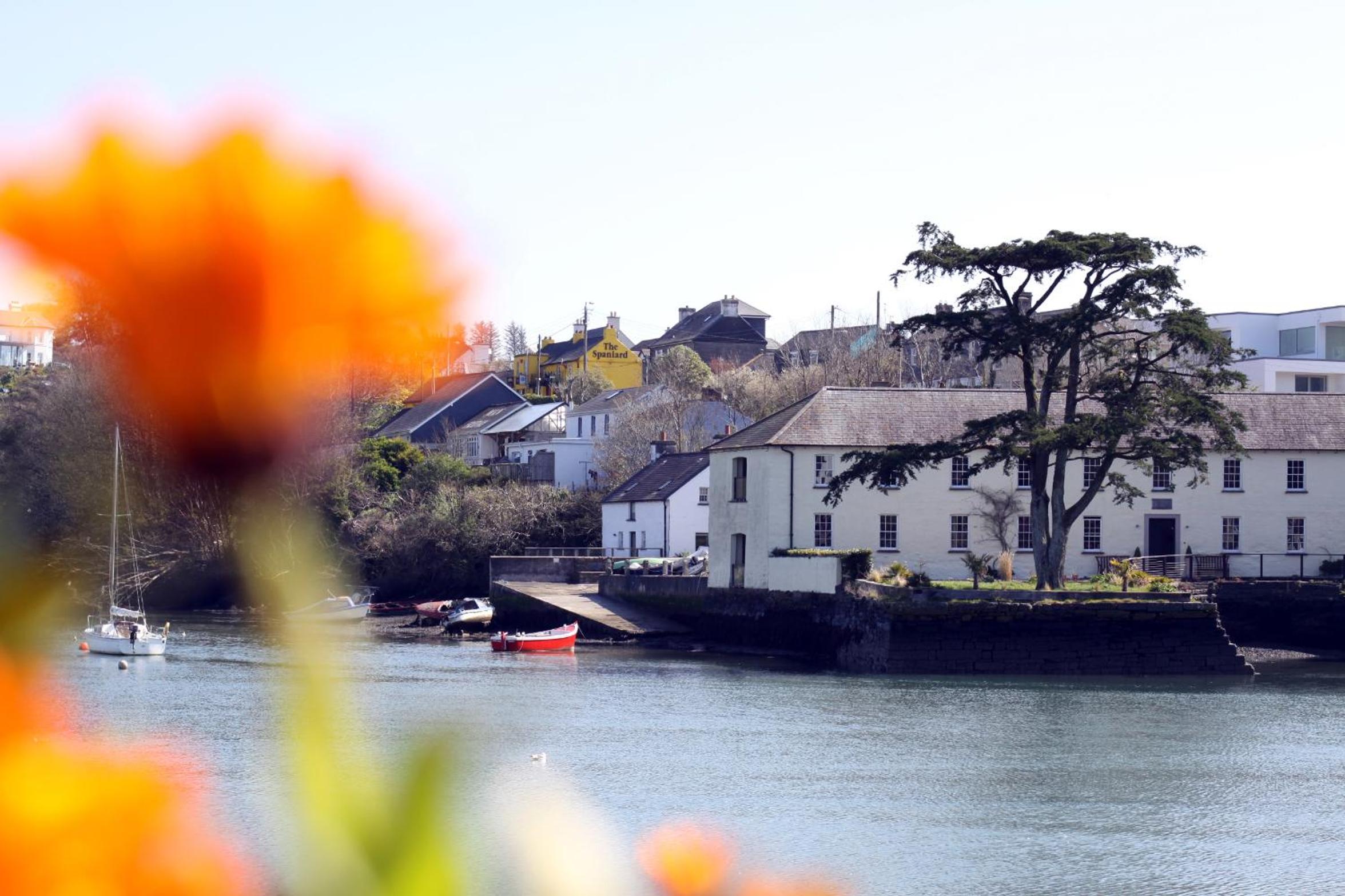 The Kinsale 4 Center