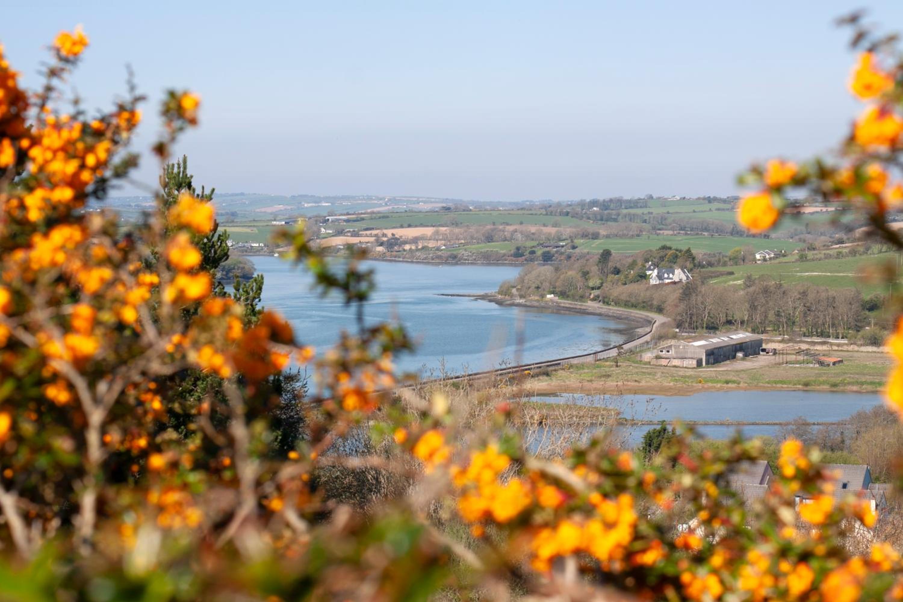 The Kinsale 4 Center view 4
