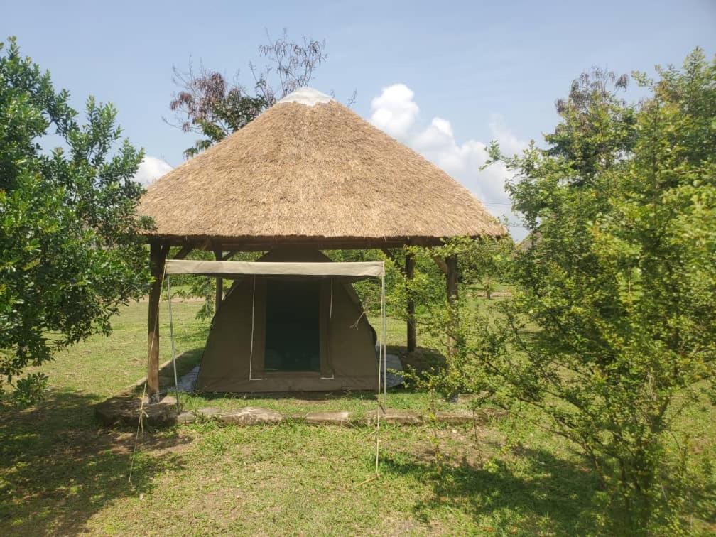 Engiri Game Lodge and Campsite