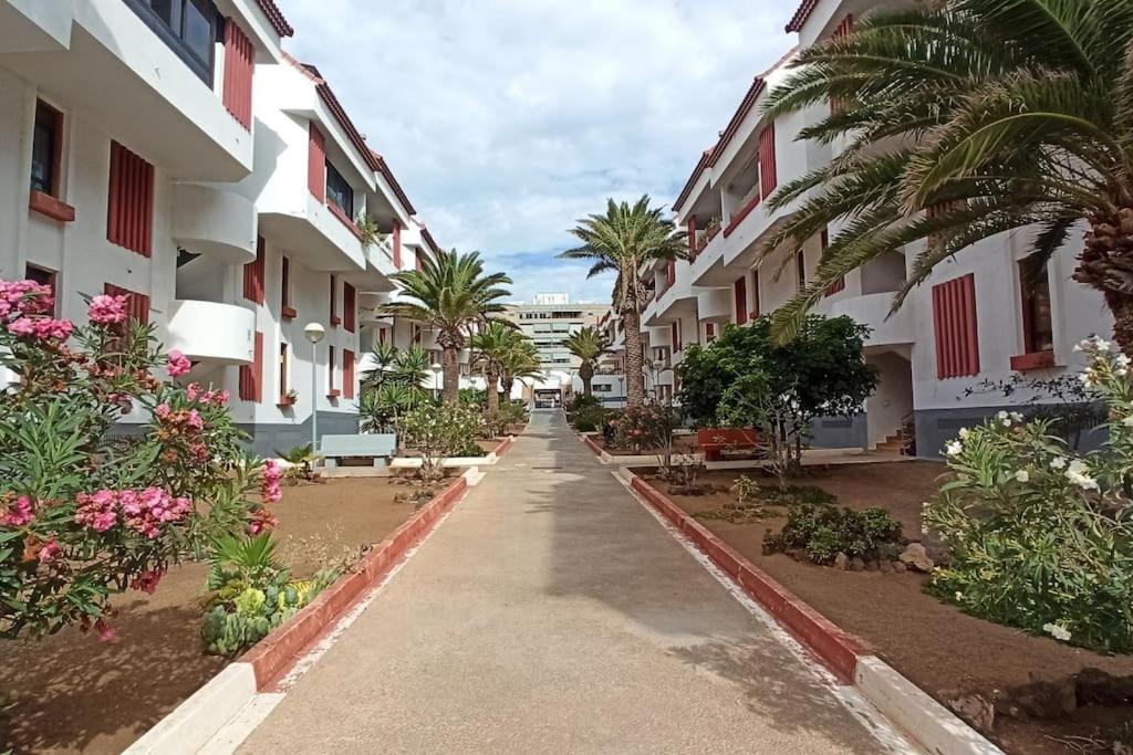 Altemar in las Américas