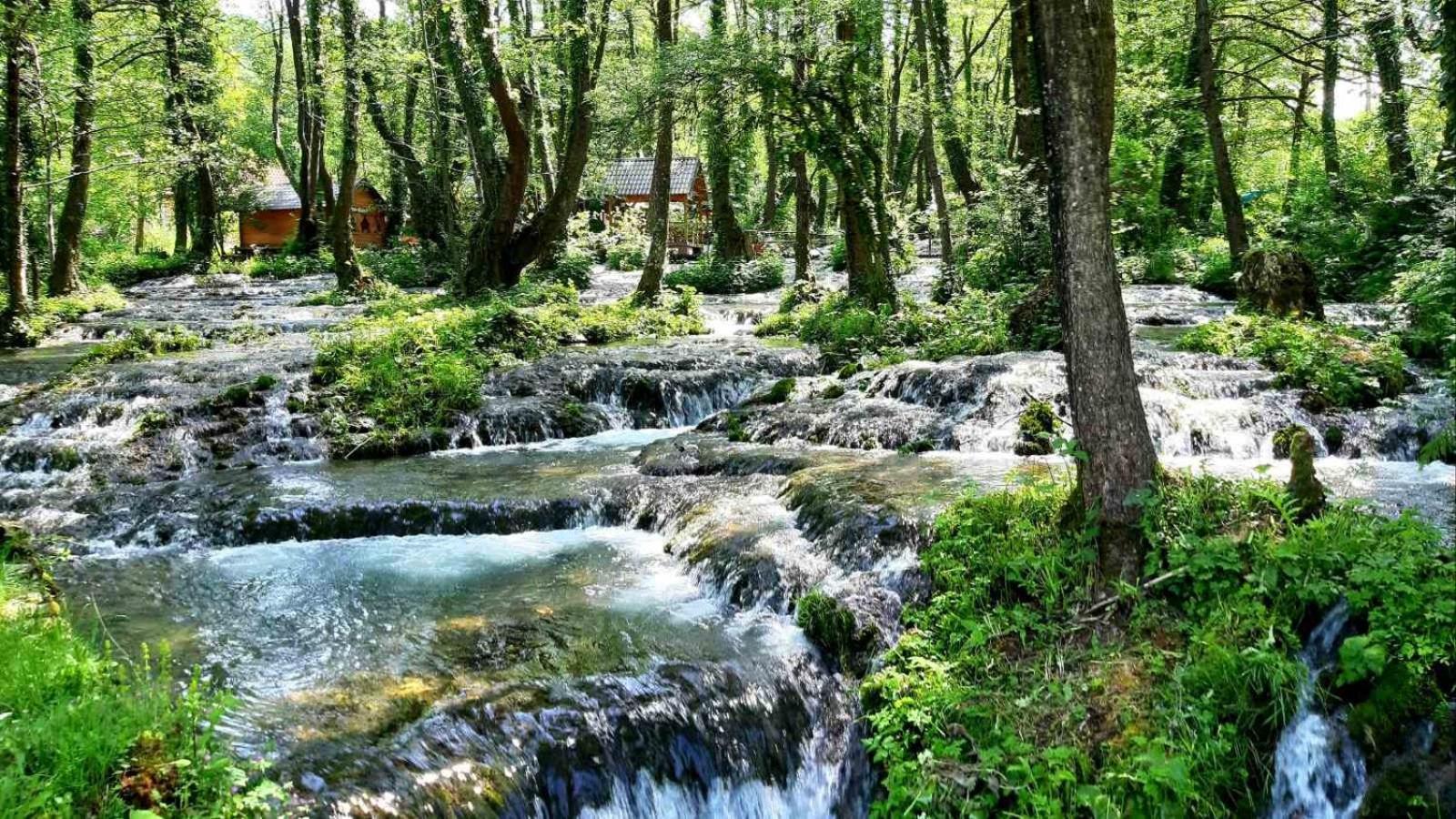 Bosnian Villa & Chalet