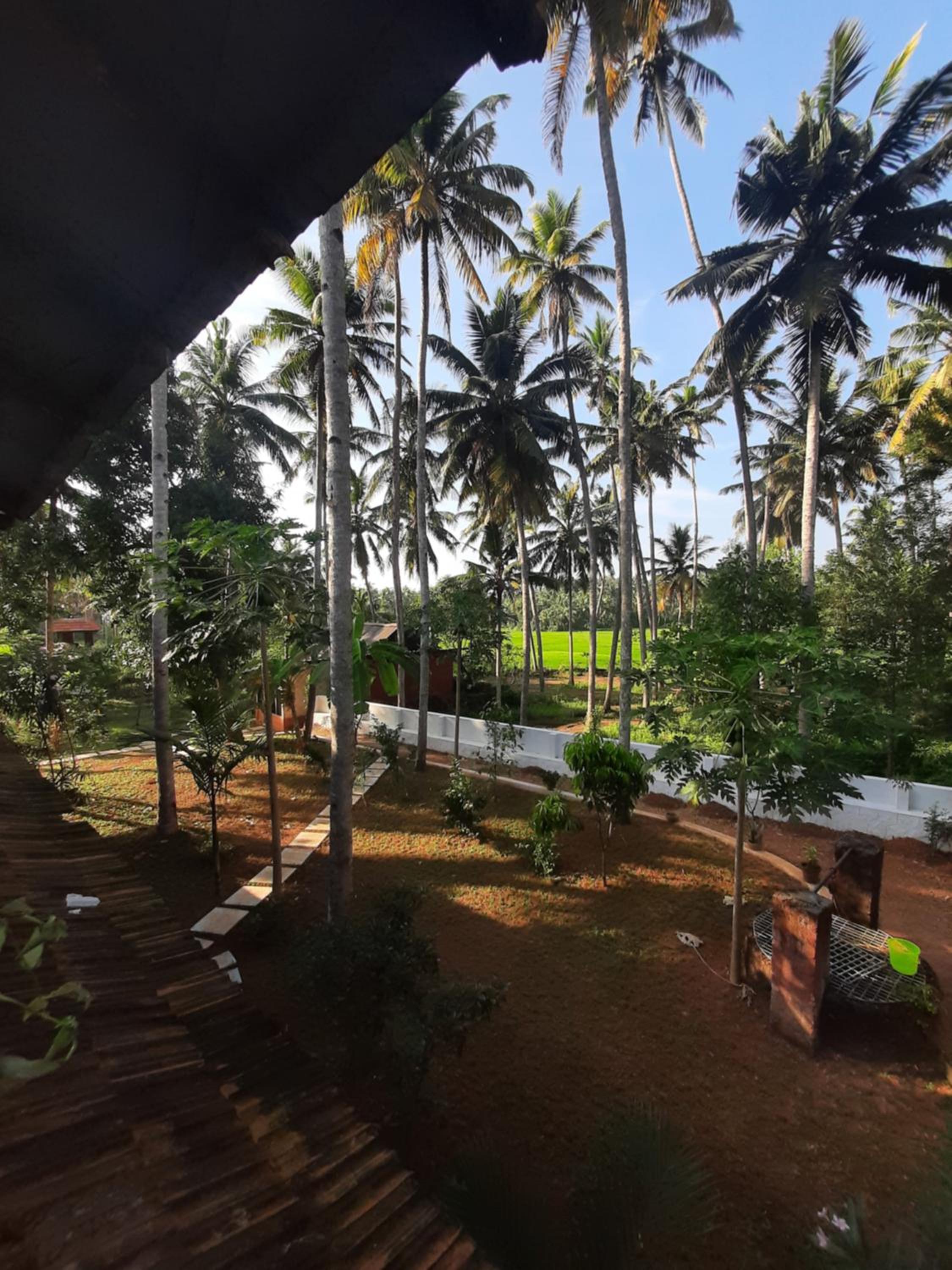 Doctors Ayurveda Heritage view 2