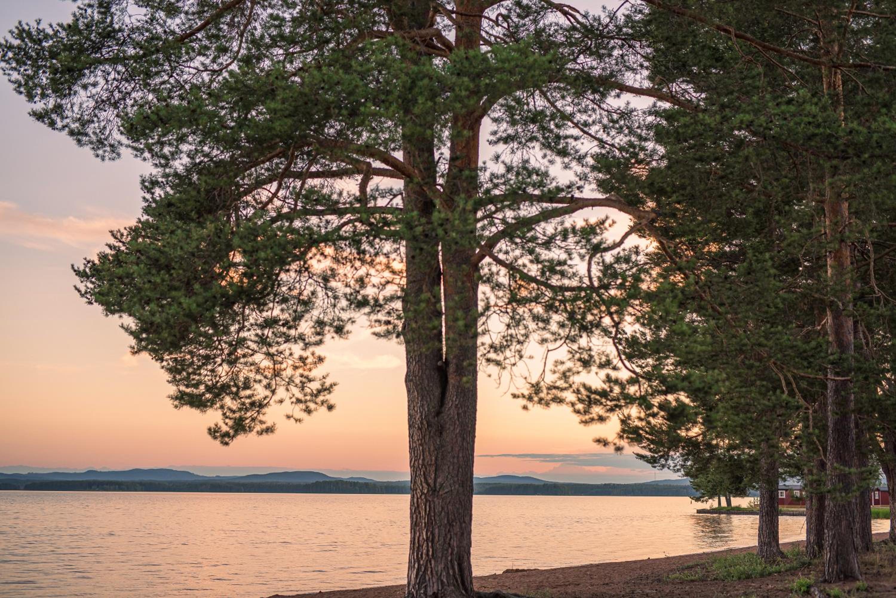 First Camp Orsa - Dalarna