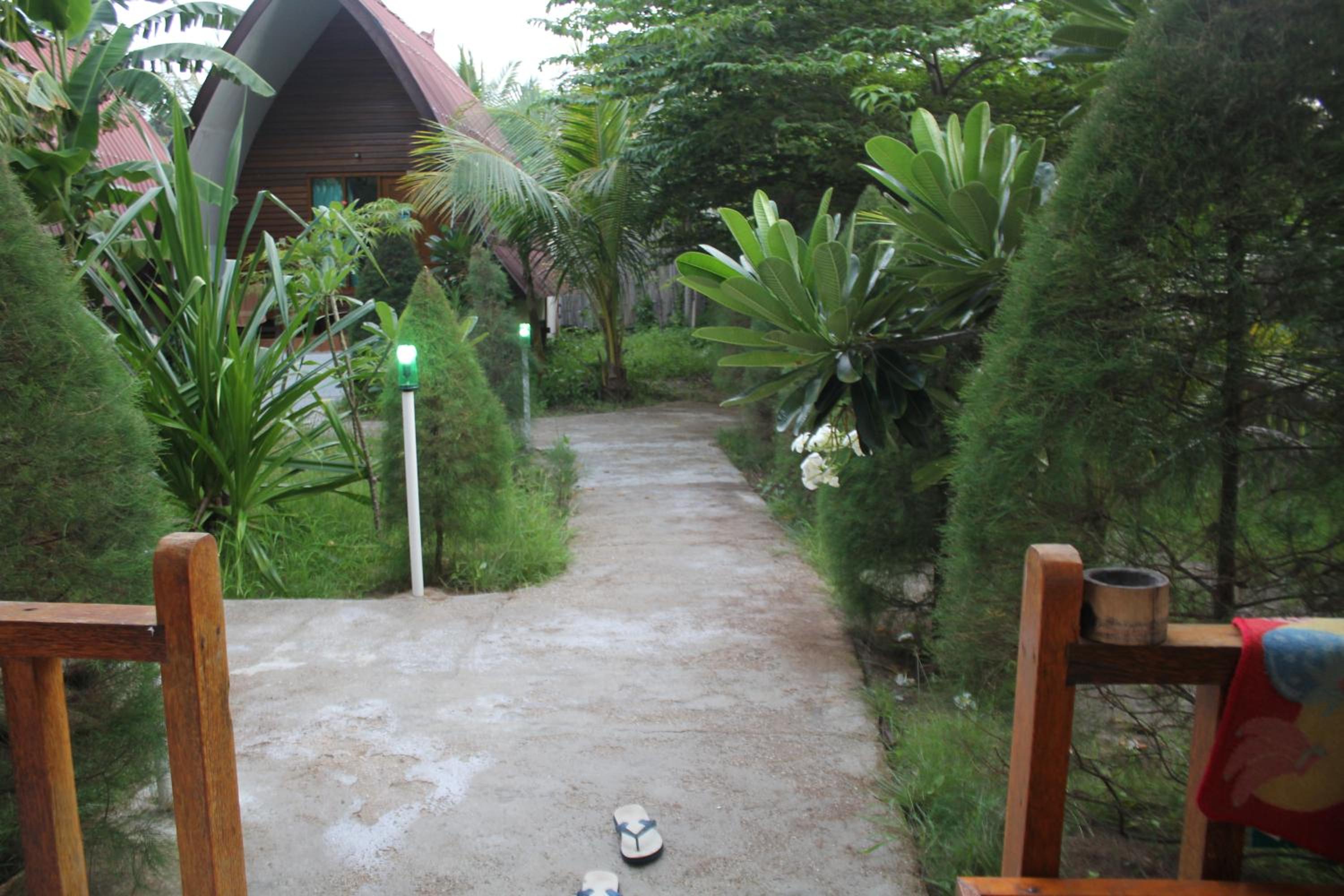 Photo 51
