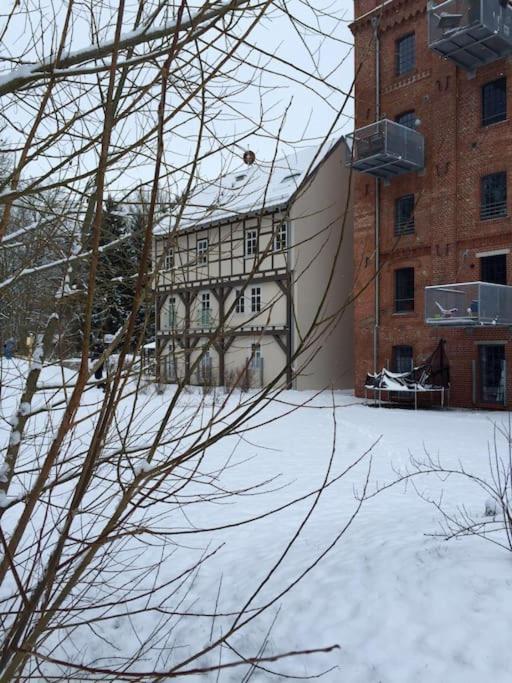 Ferienappartement Bachstelze