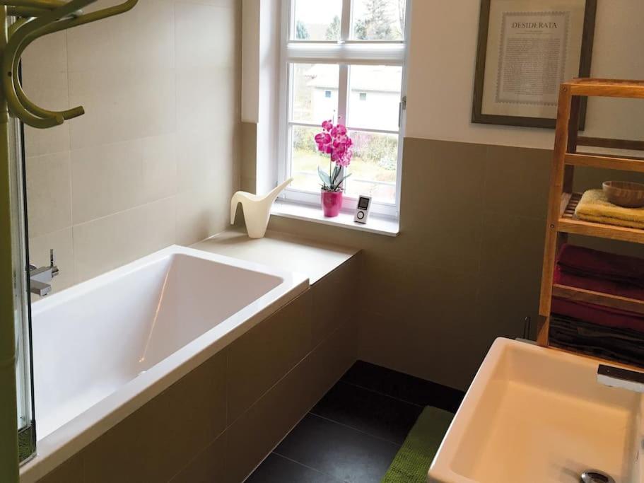 Ferienappartement Bachstelze