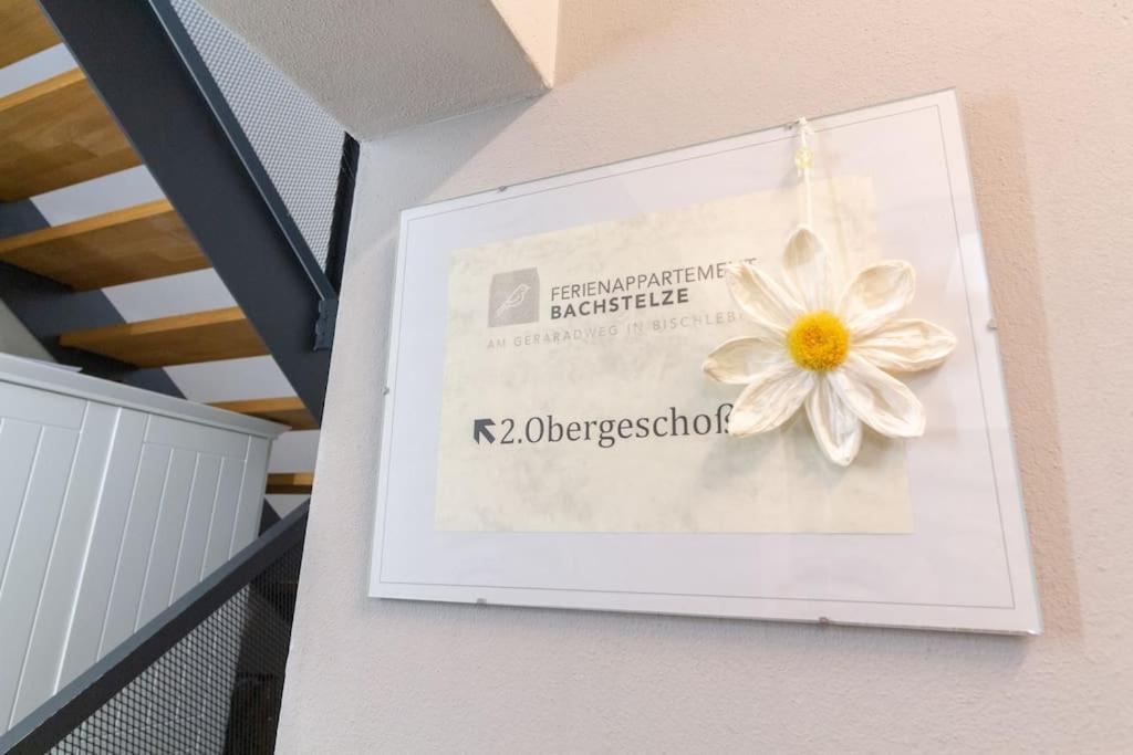 Ferienappartement Bachstelze