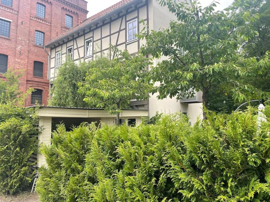 Ferienappartement Bachstelze