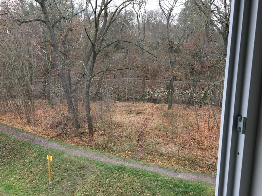 Ferienappartement Bachstelze