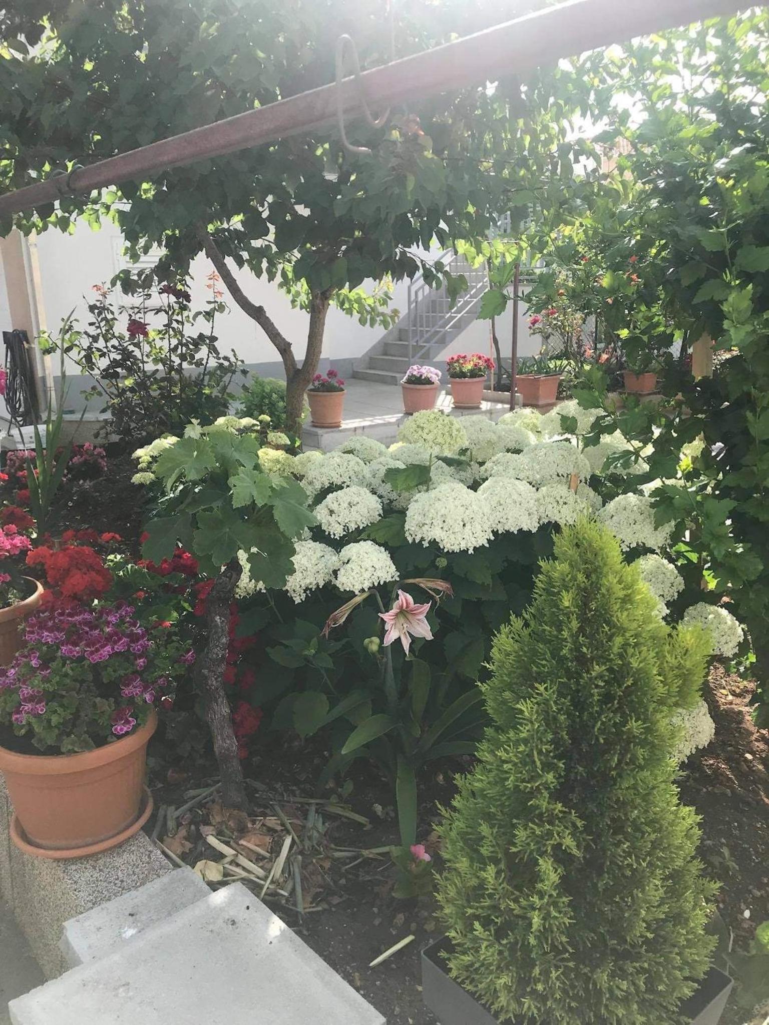 Photo 23
