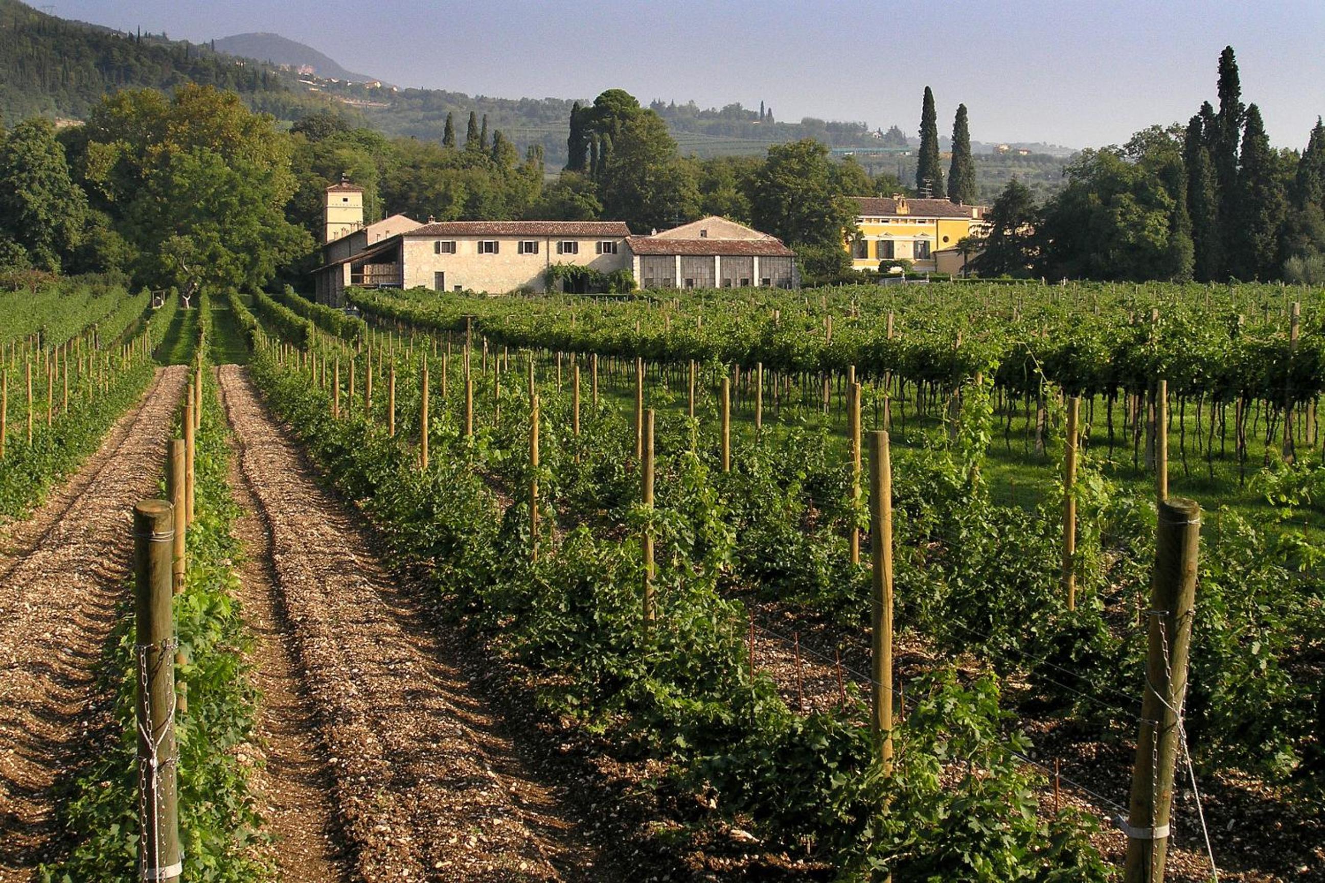 La Foresteria Serego Alighieri