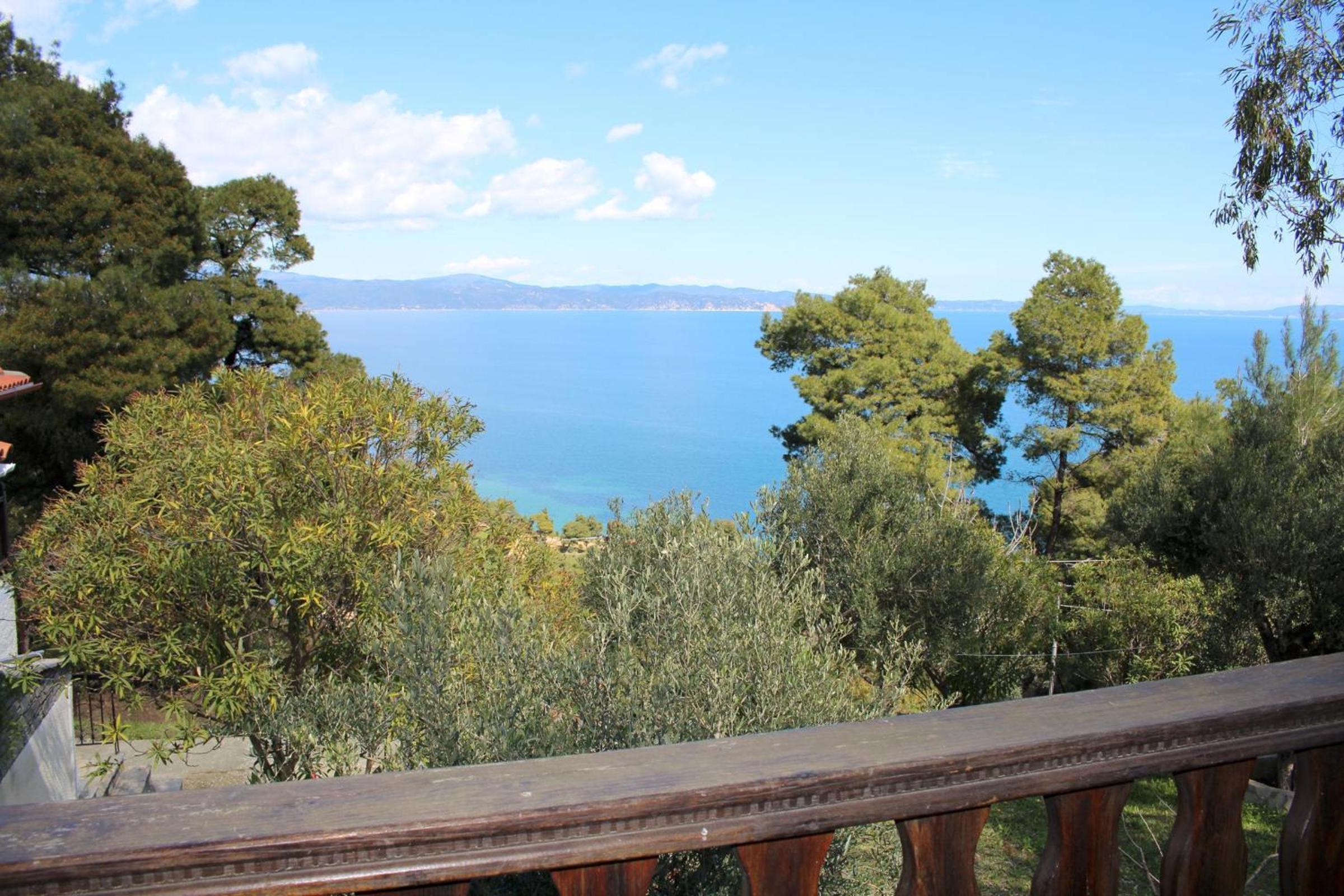 Erika View