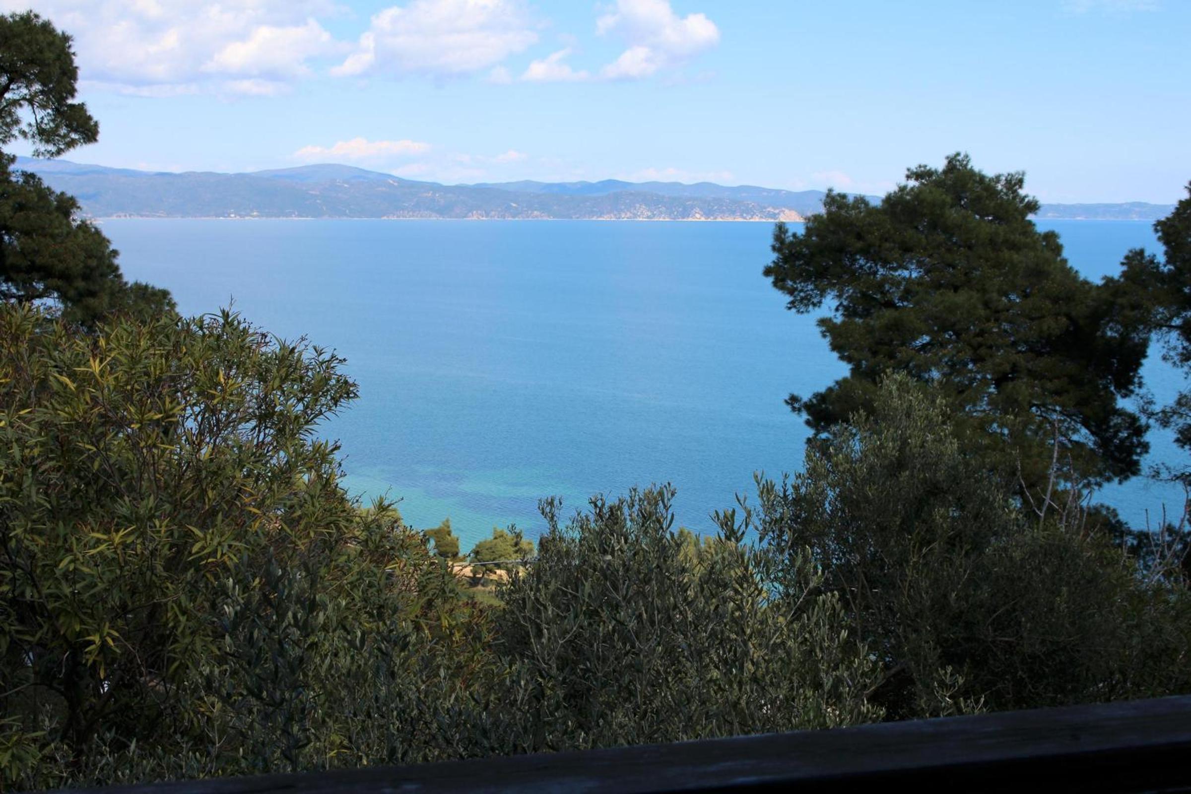 Erika View