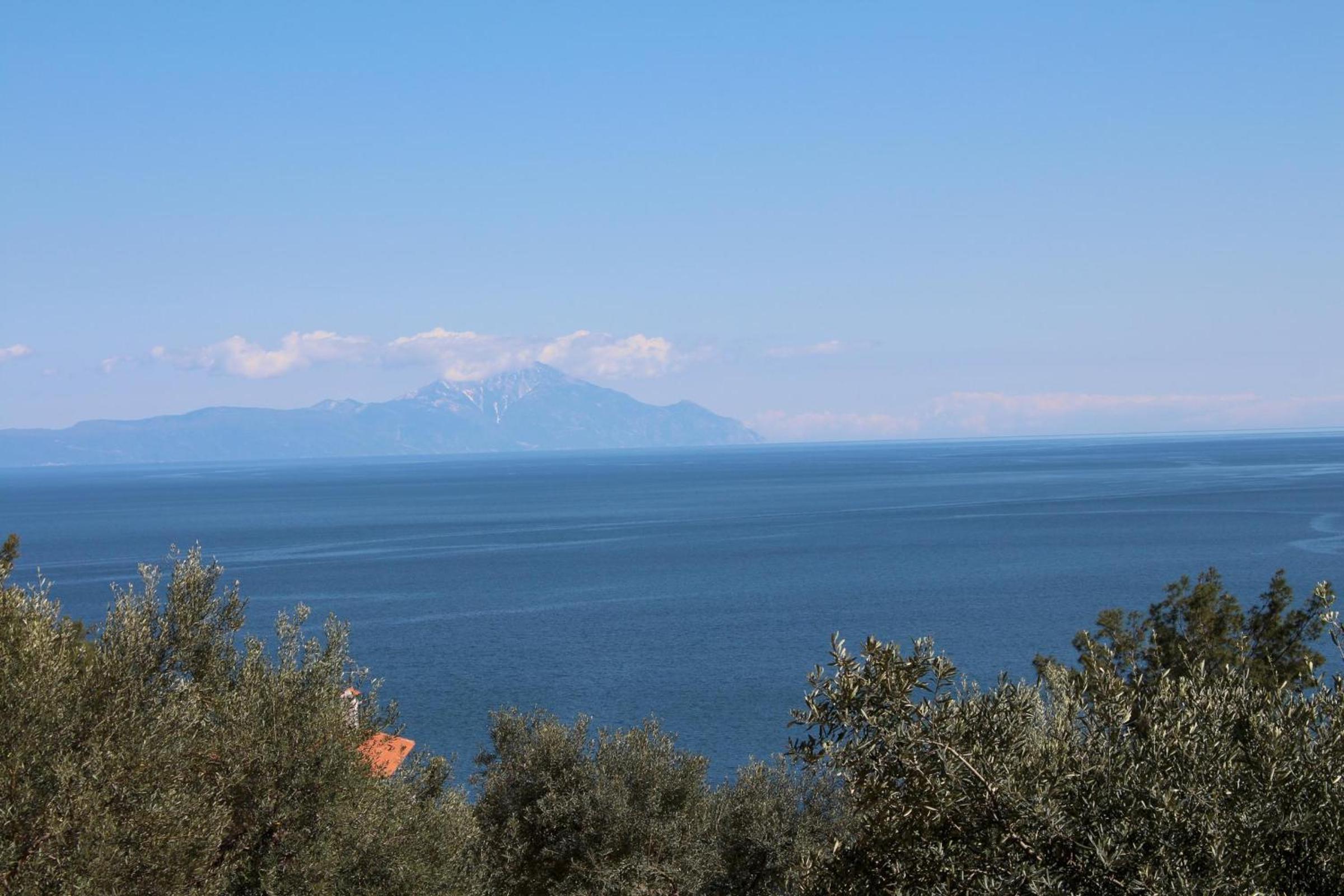 Erika View