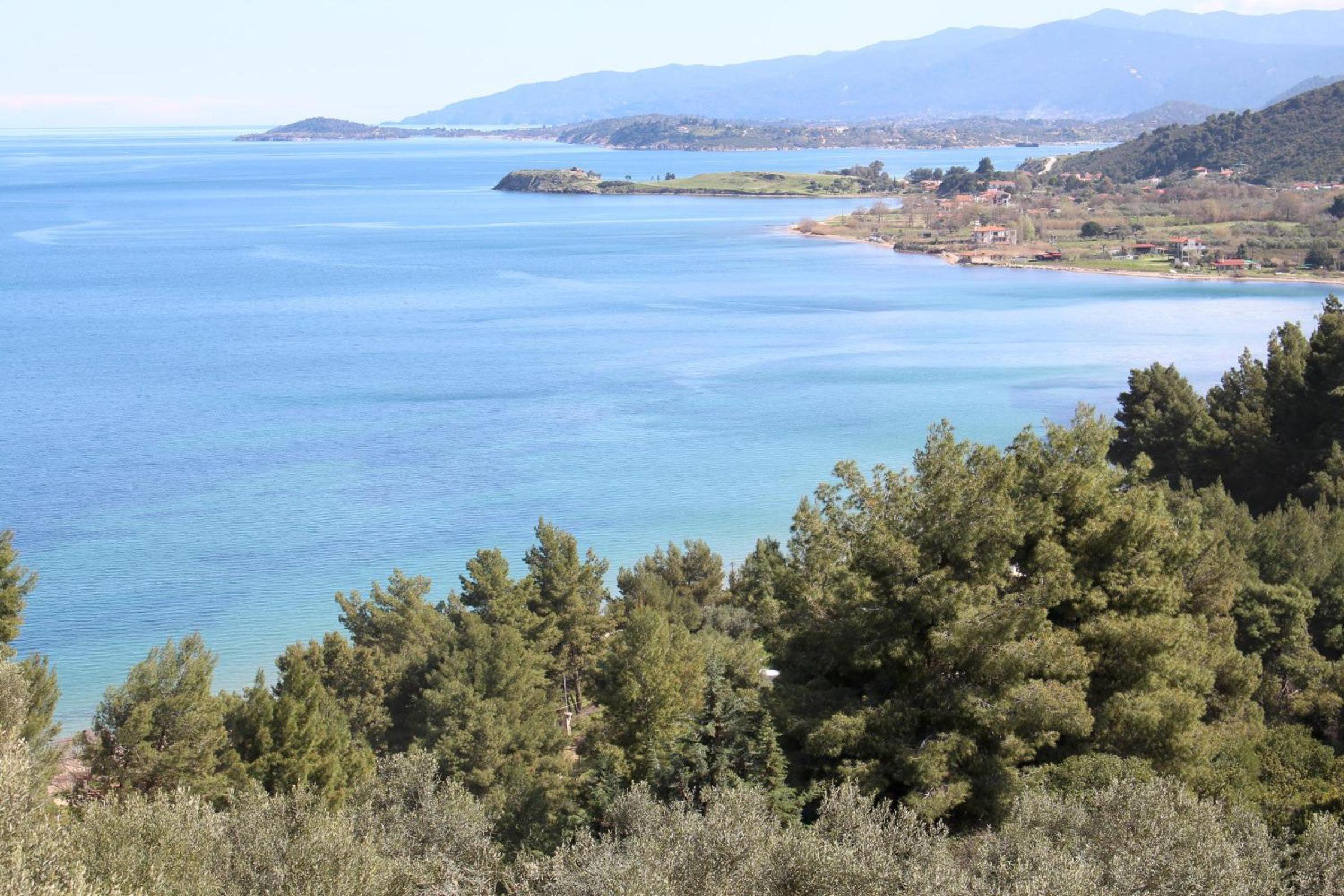 Erika View
