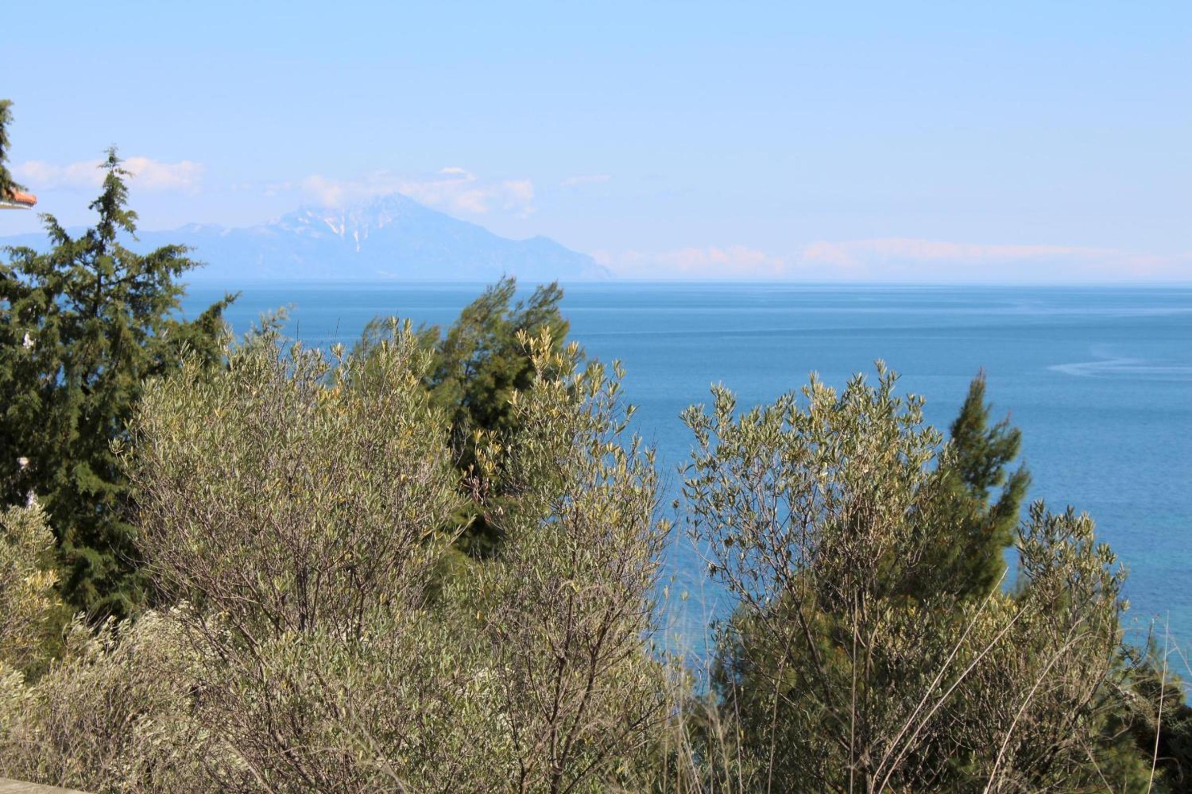 Erika View