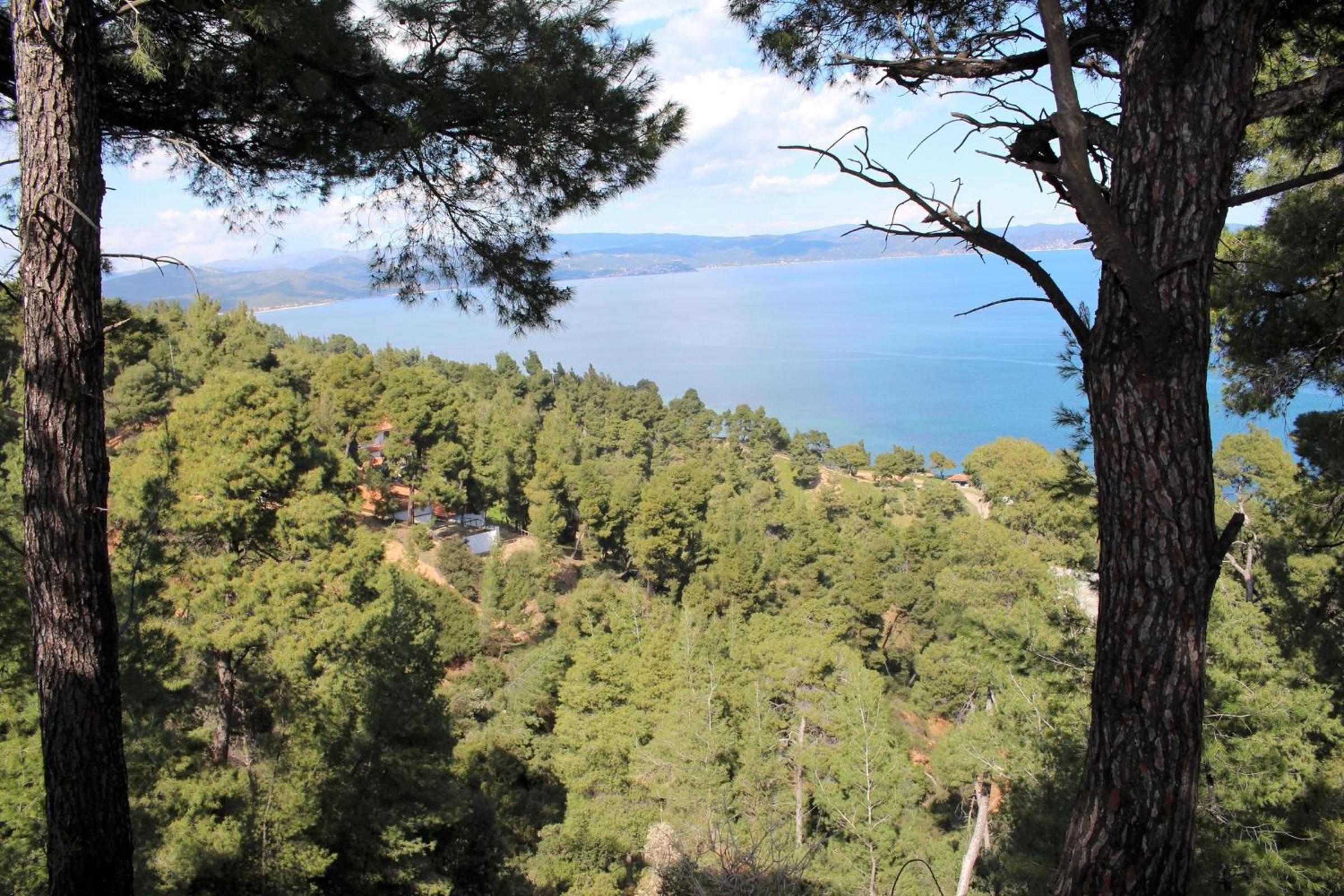 Erika View