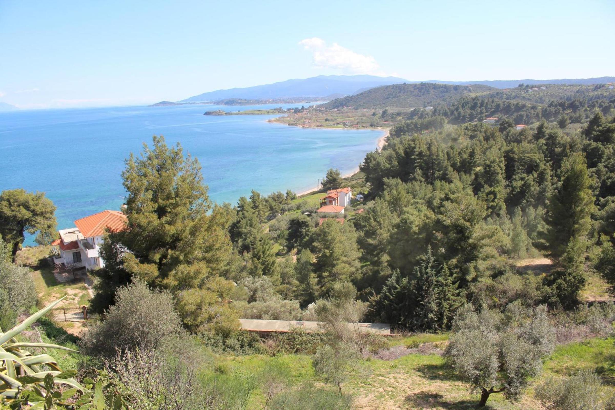 Erika View