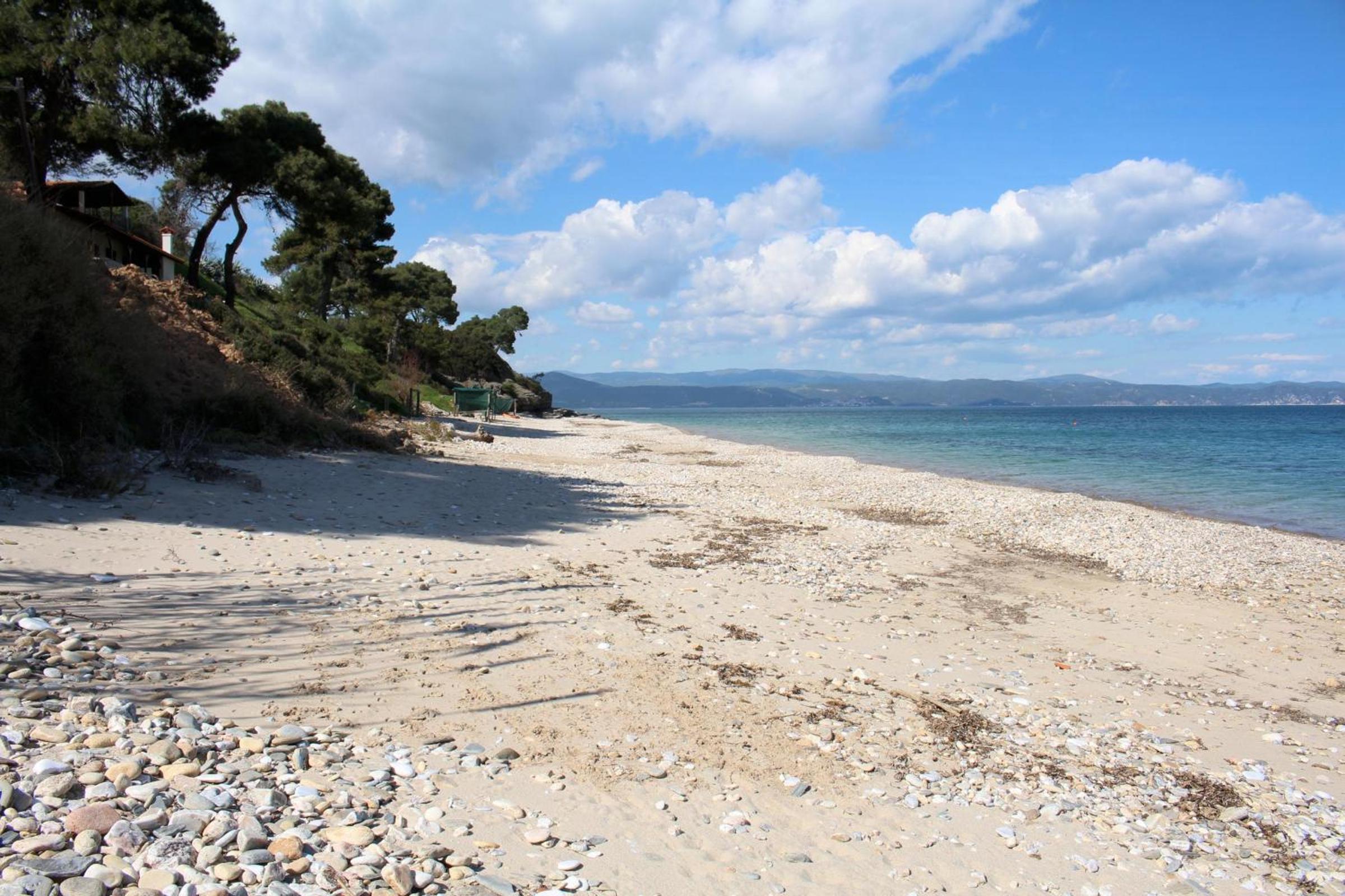 Erika View