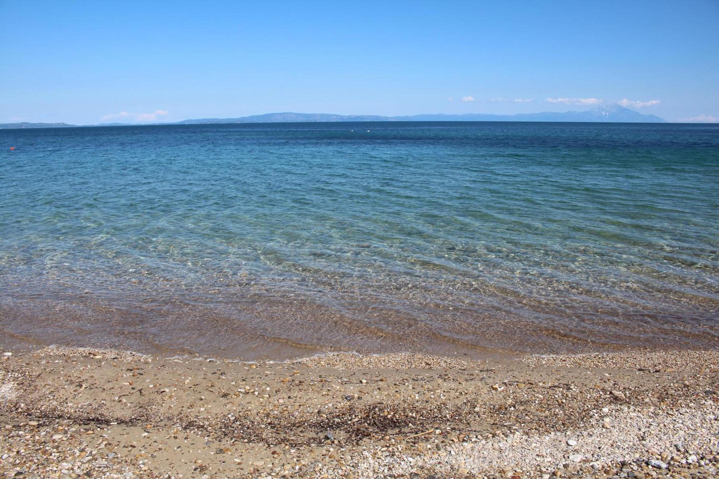 Erika View