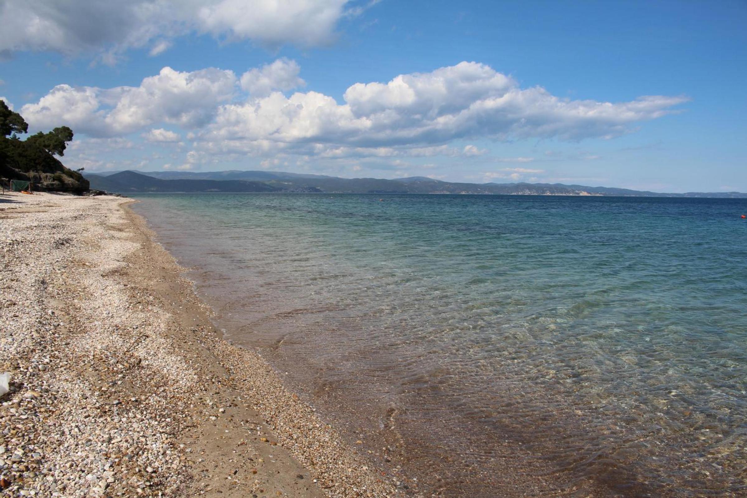 Erika View