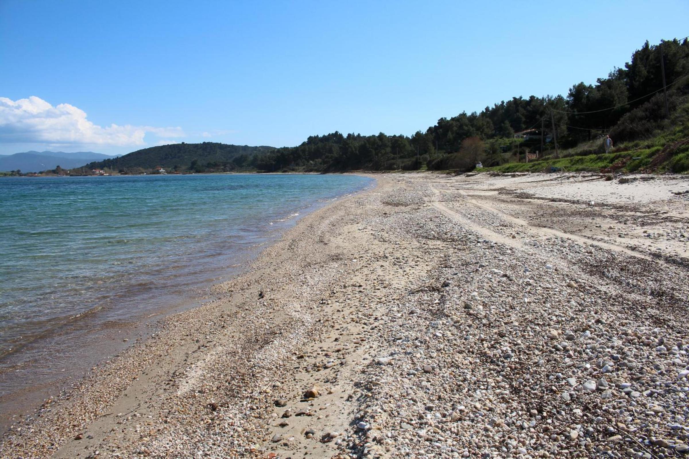 Erika View