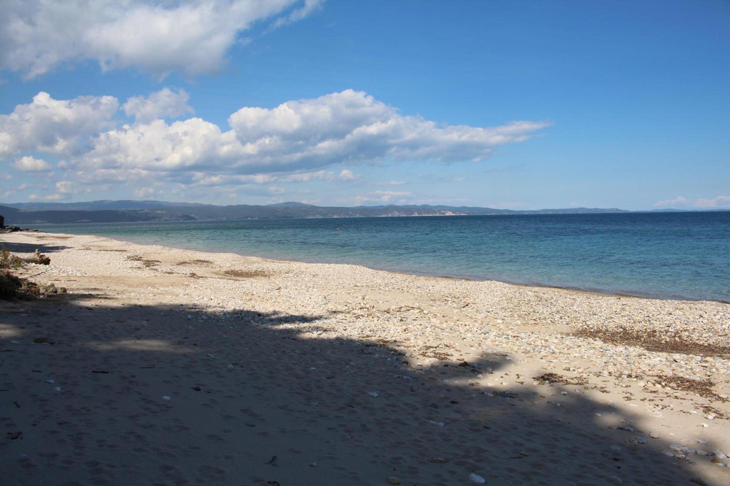 Erika View
