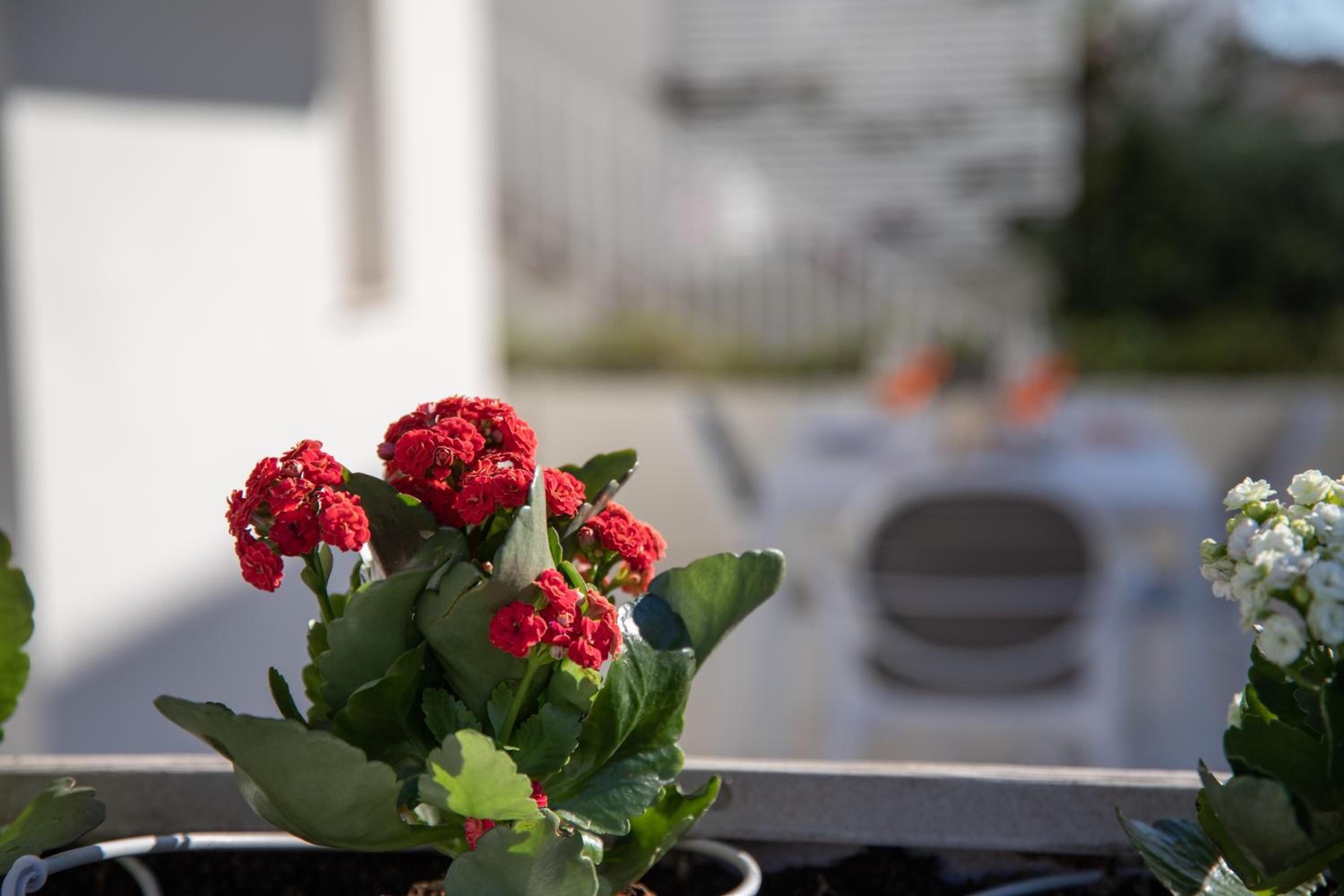 Photo 69