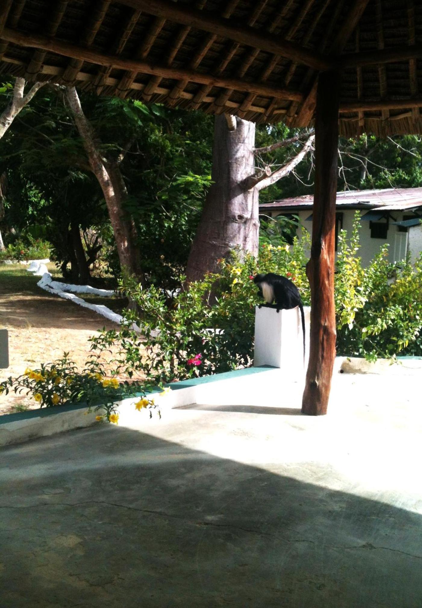 Diani Beachalets