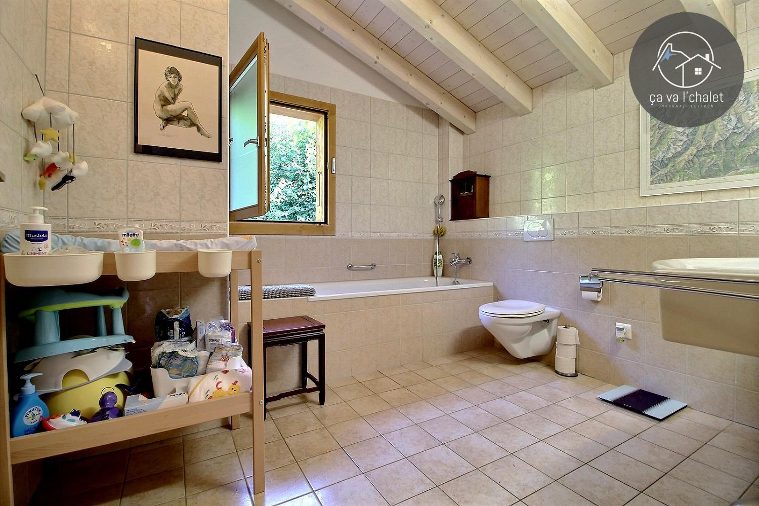Chalet Dendron, Ovronnaz view 4