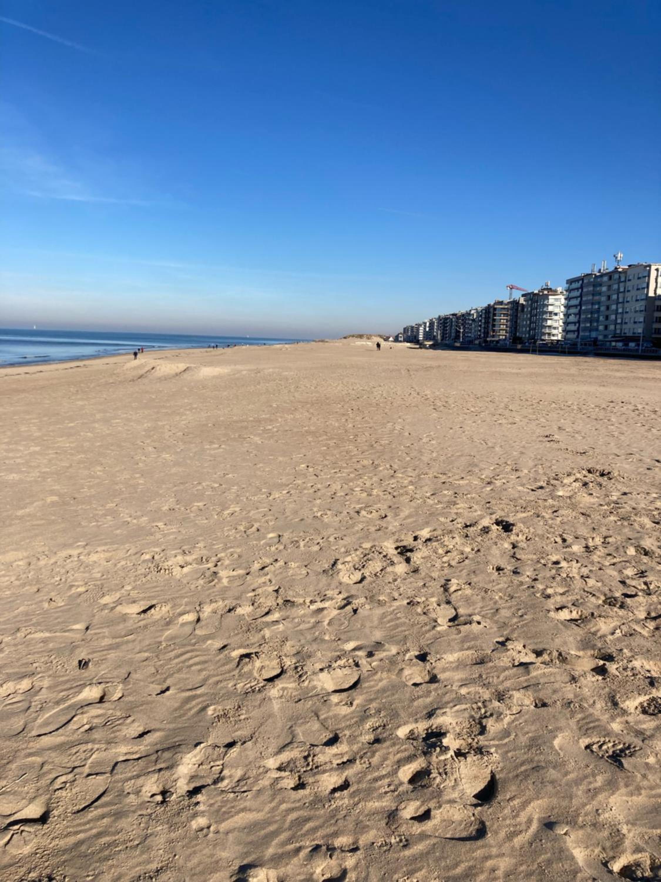 Strandstudio in hartje Koksijde