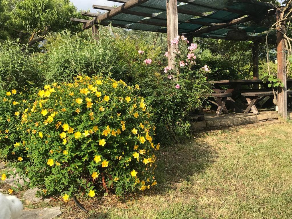 Photo 23