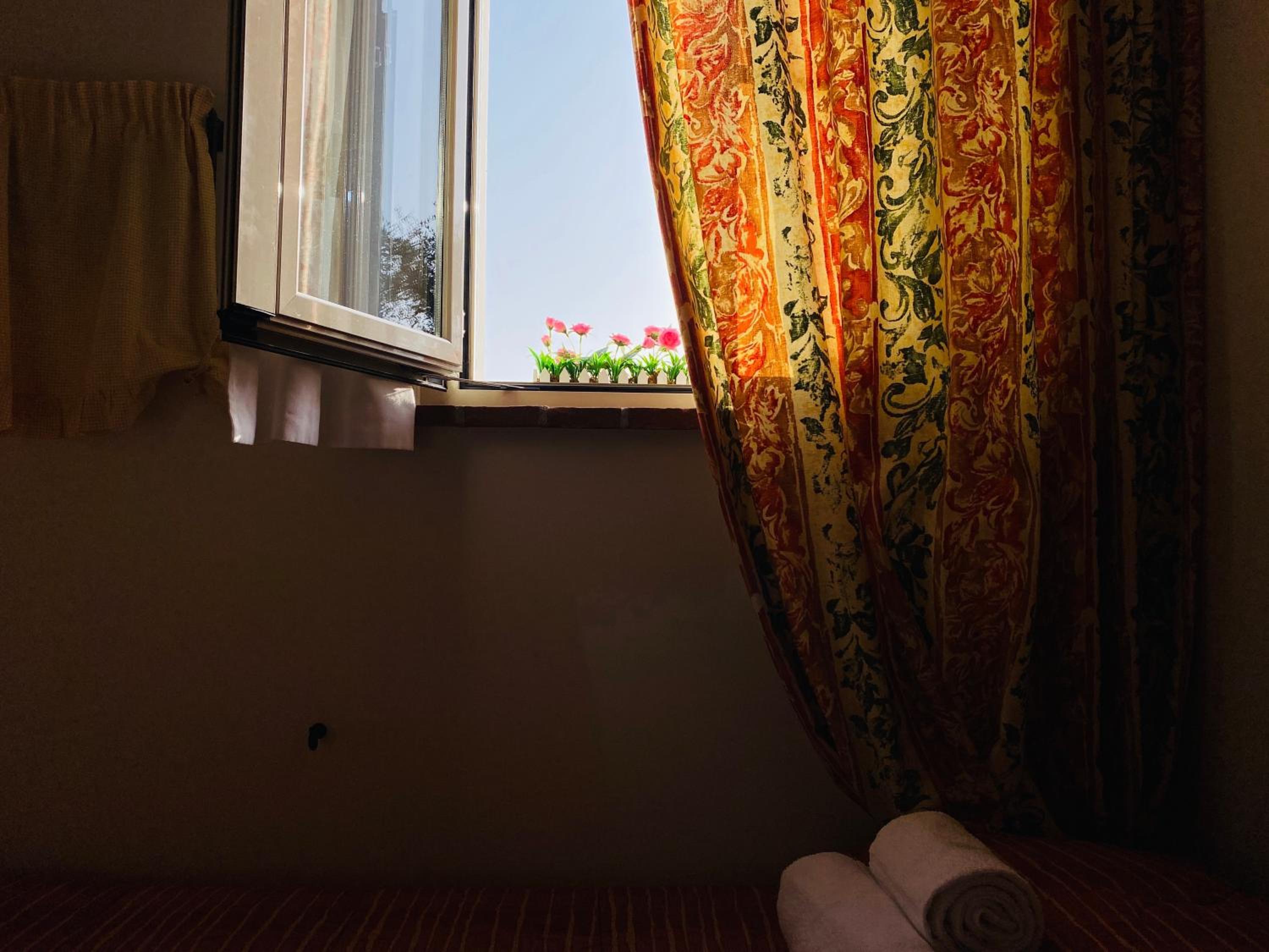 Photo 43