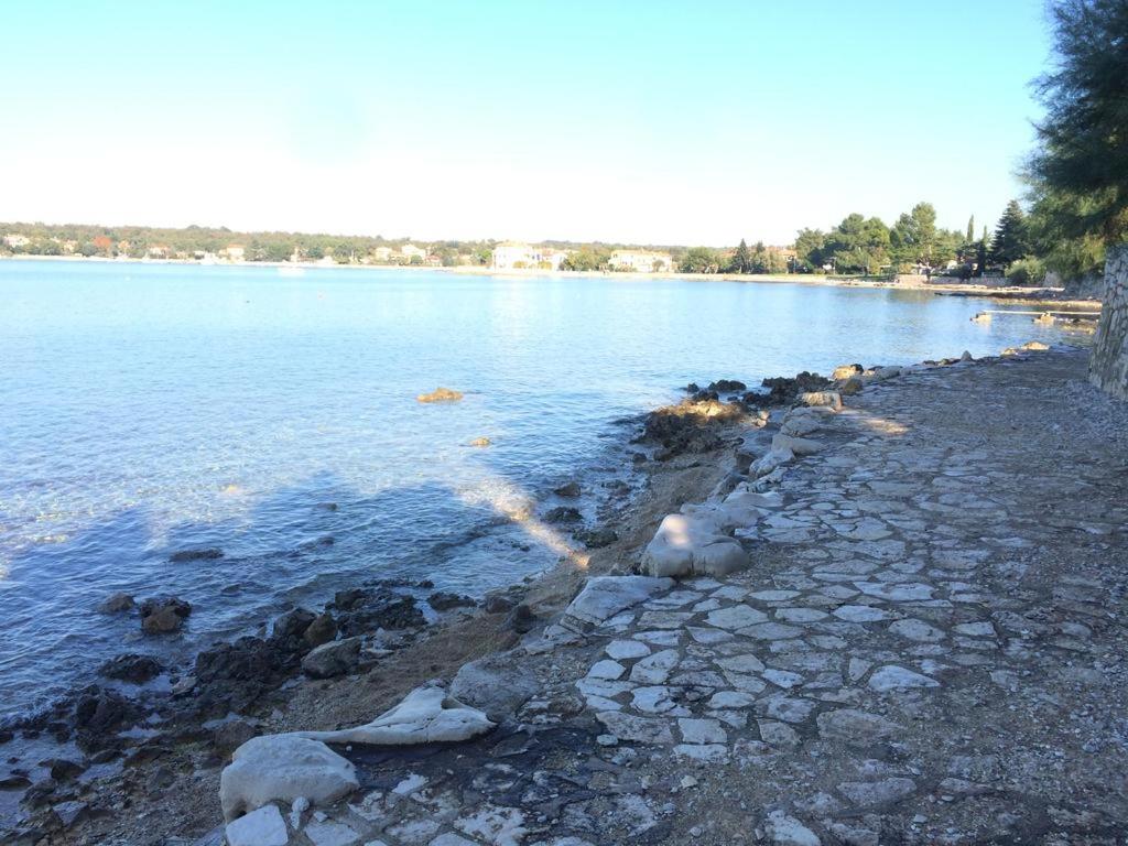 Photo 41