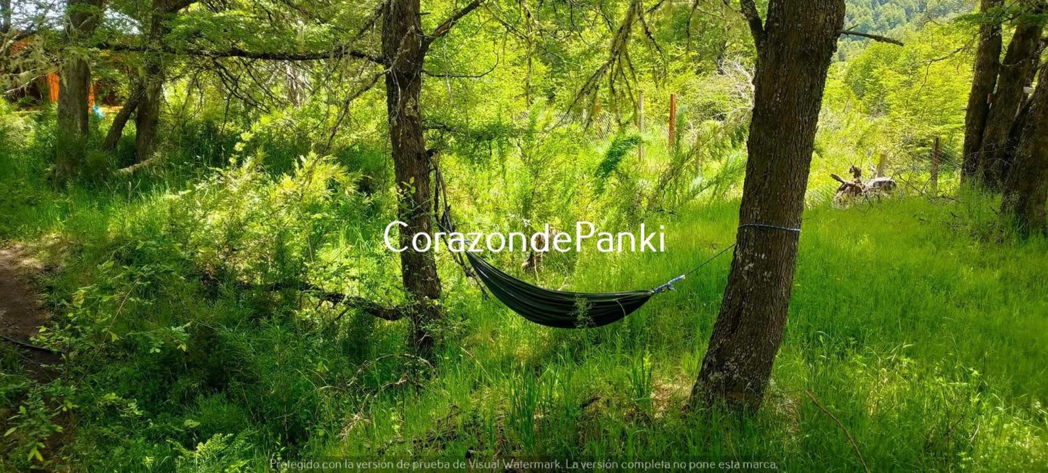 Corazon de Panki