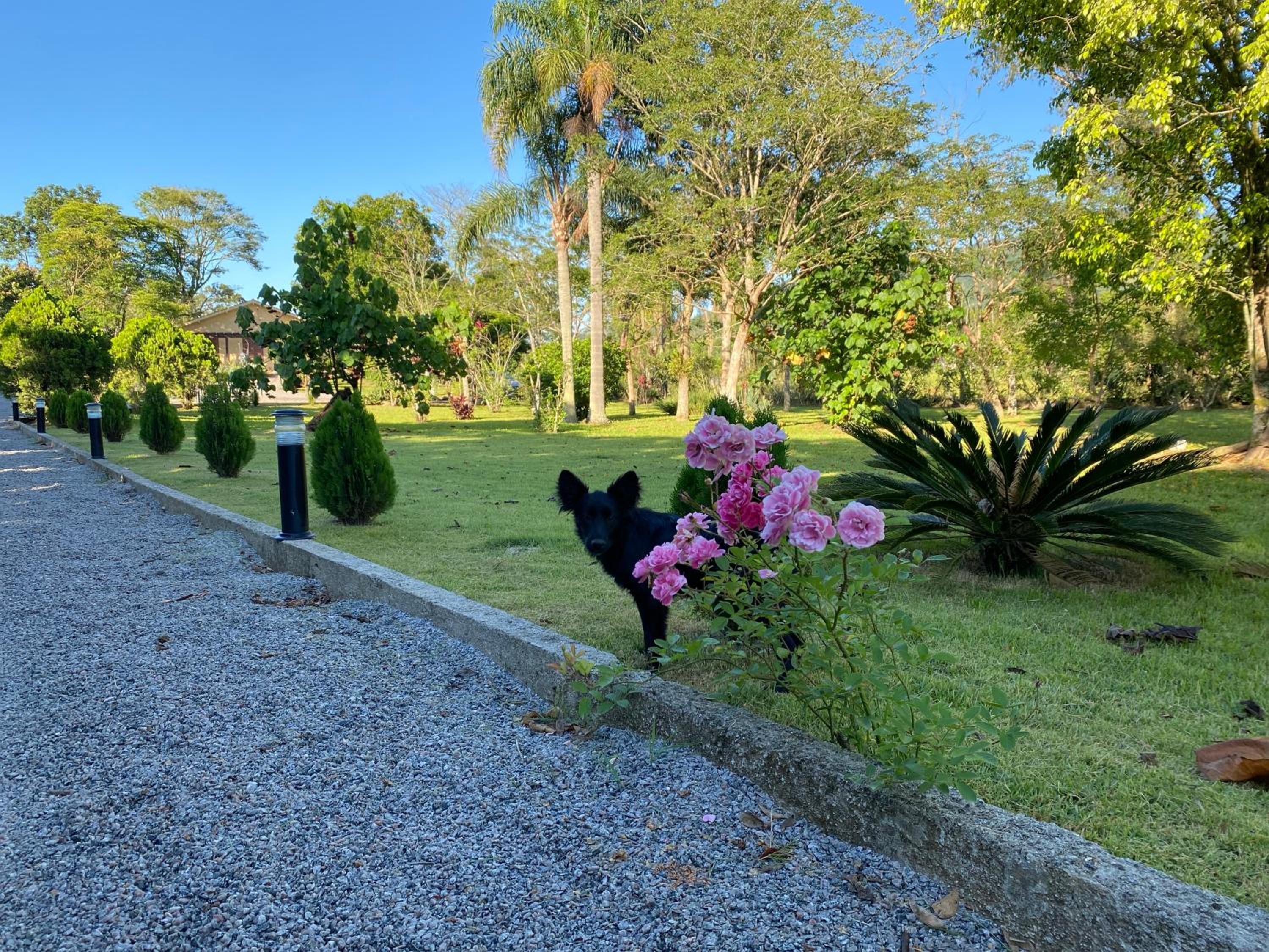 Seu Refúgio Rural Piscina Privativa e Natureza