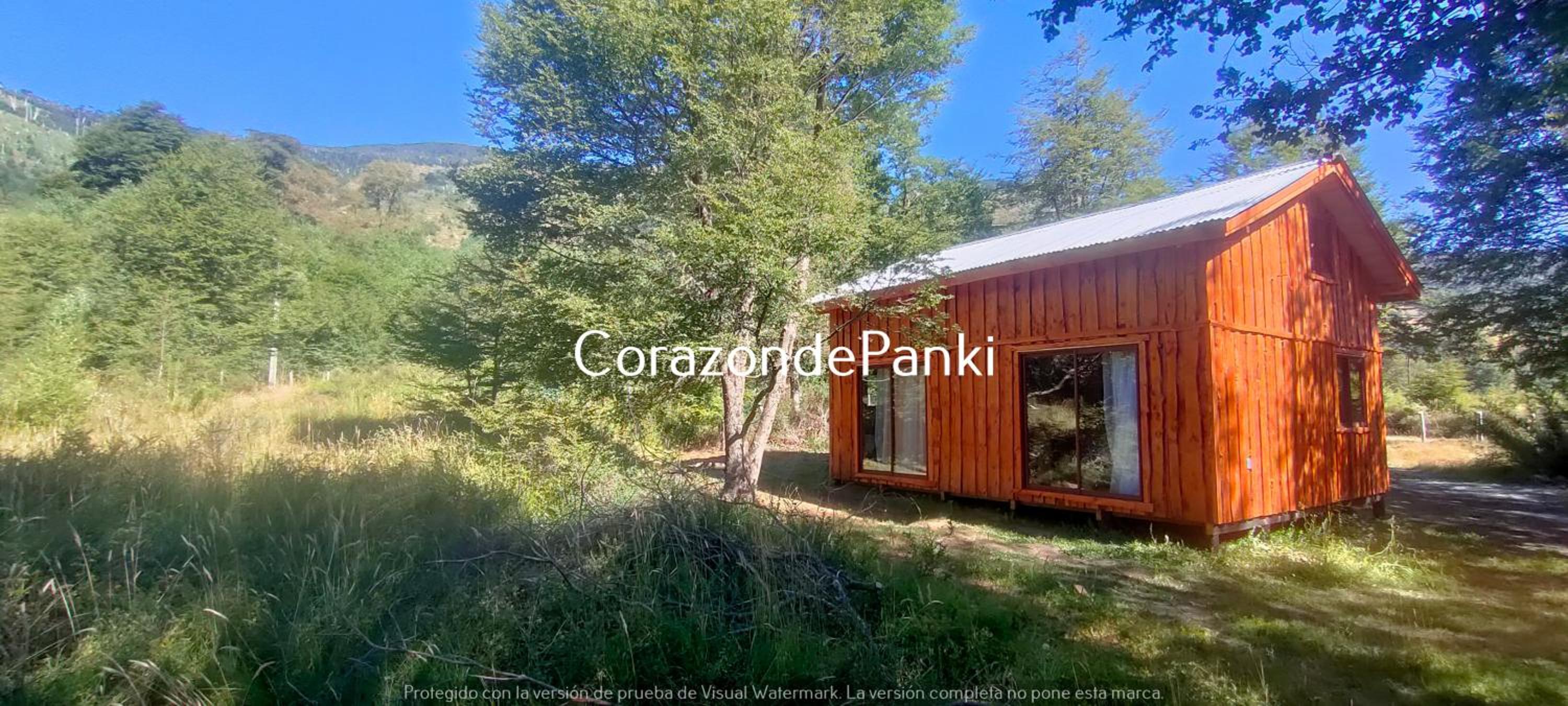 Corazon de Panki
