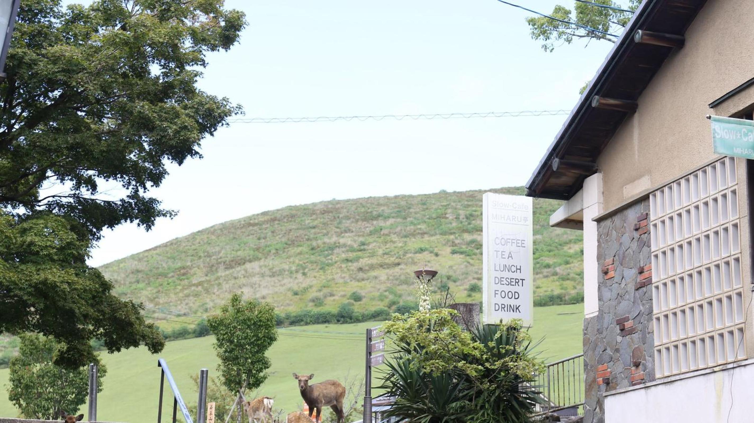 Mountain Home Lodge in Deer Park view 2