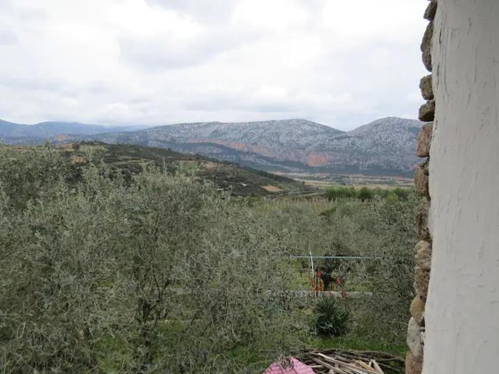 Photo 40