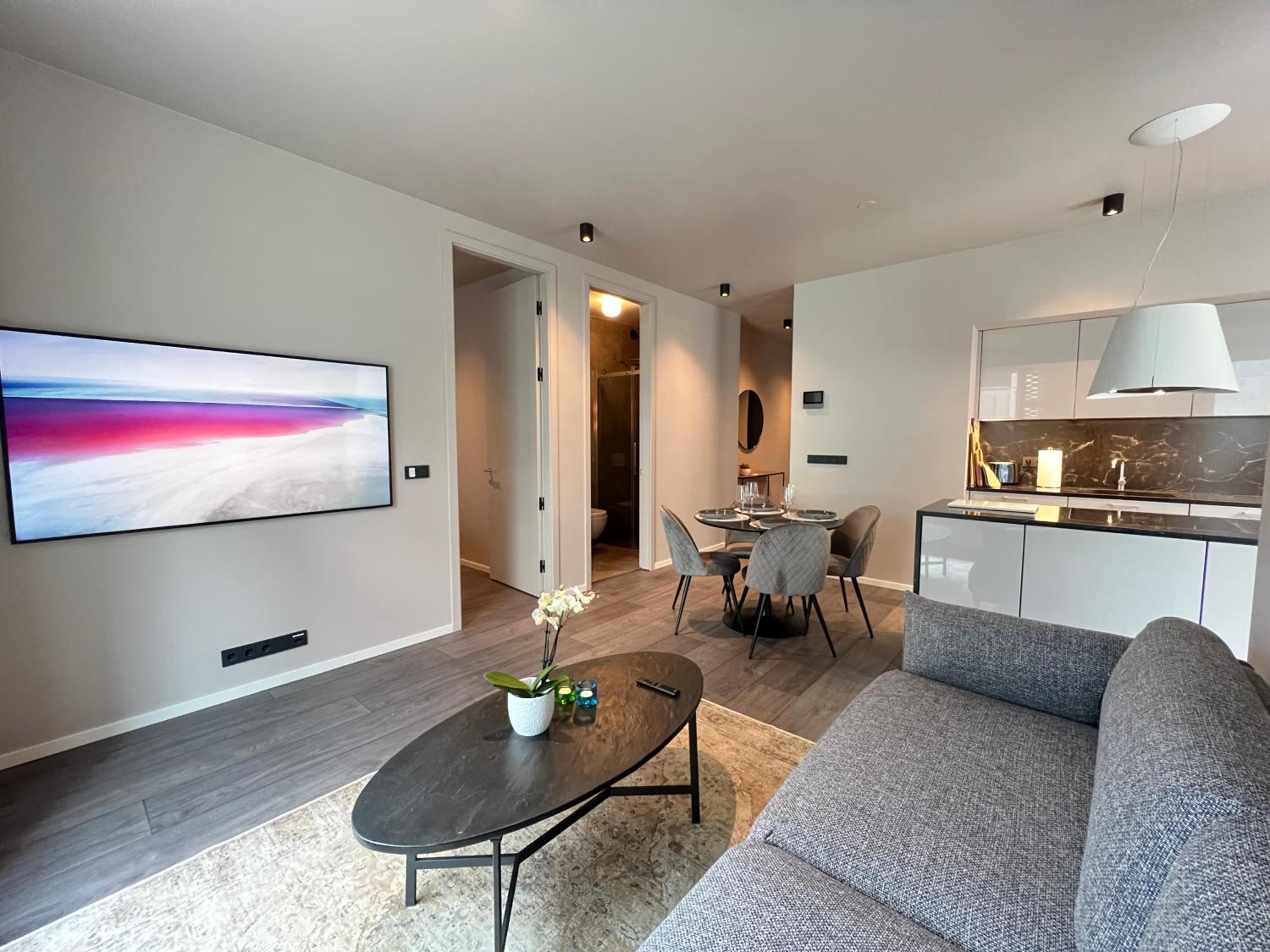 Modern Apt in Central Reykjavík view 5